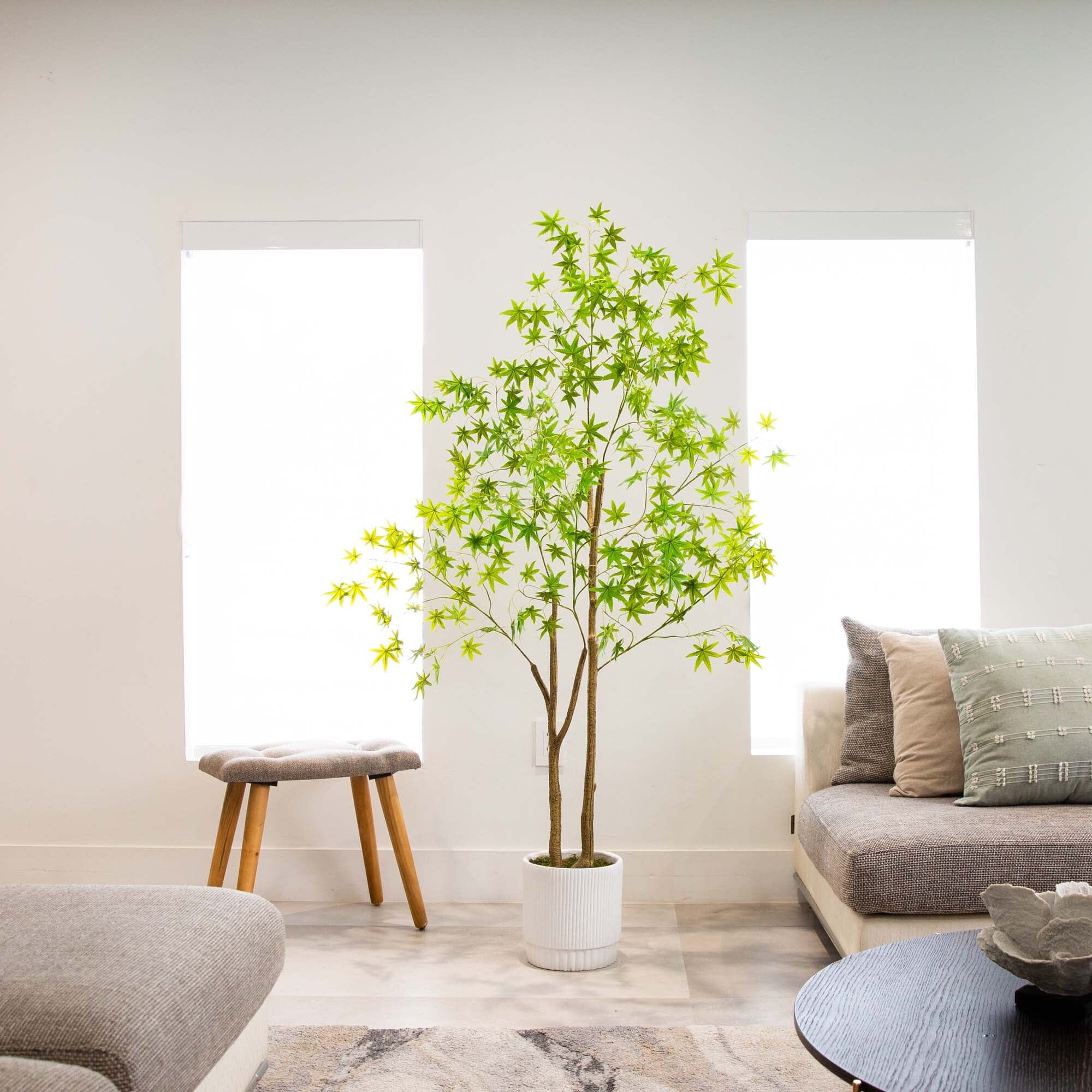 6’ Artificial Maple Tree with White Planter - Image 3