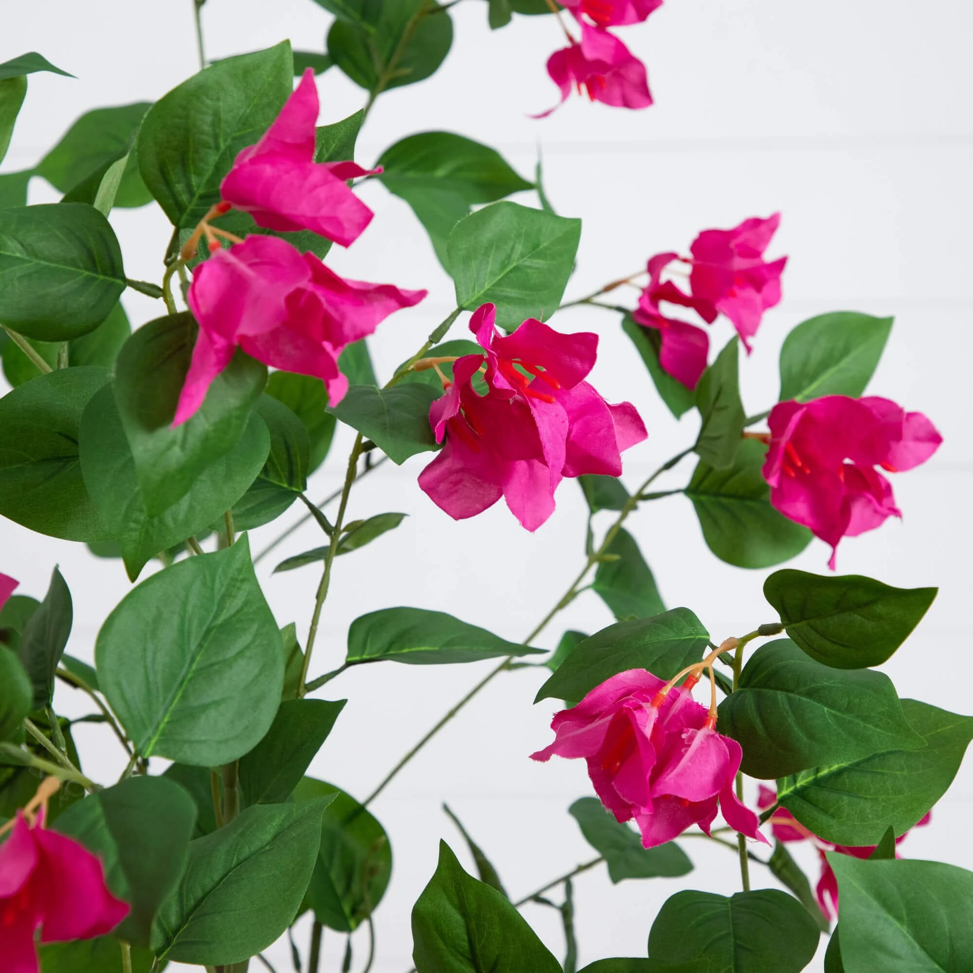 6’ Artificial Minimalist Bougainvillea Tree - Image 2