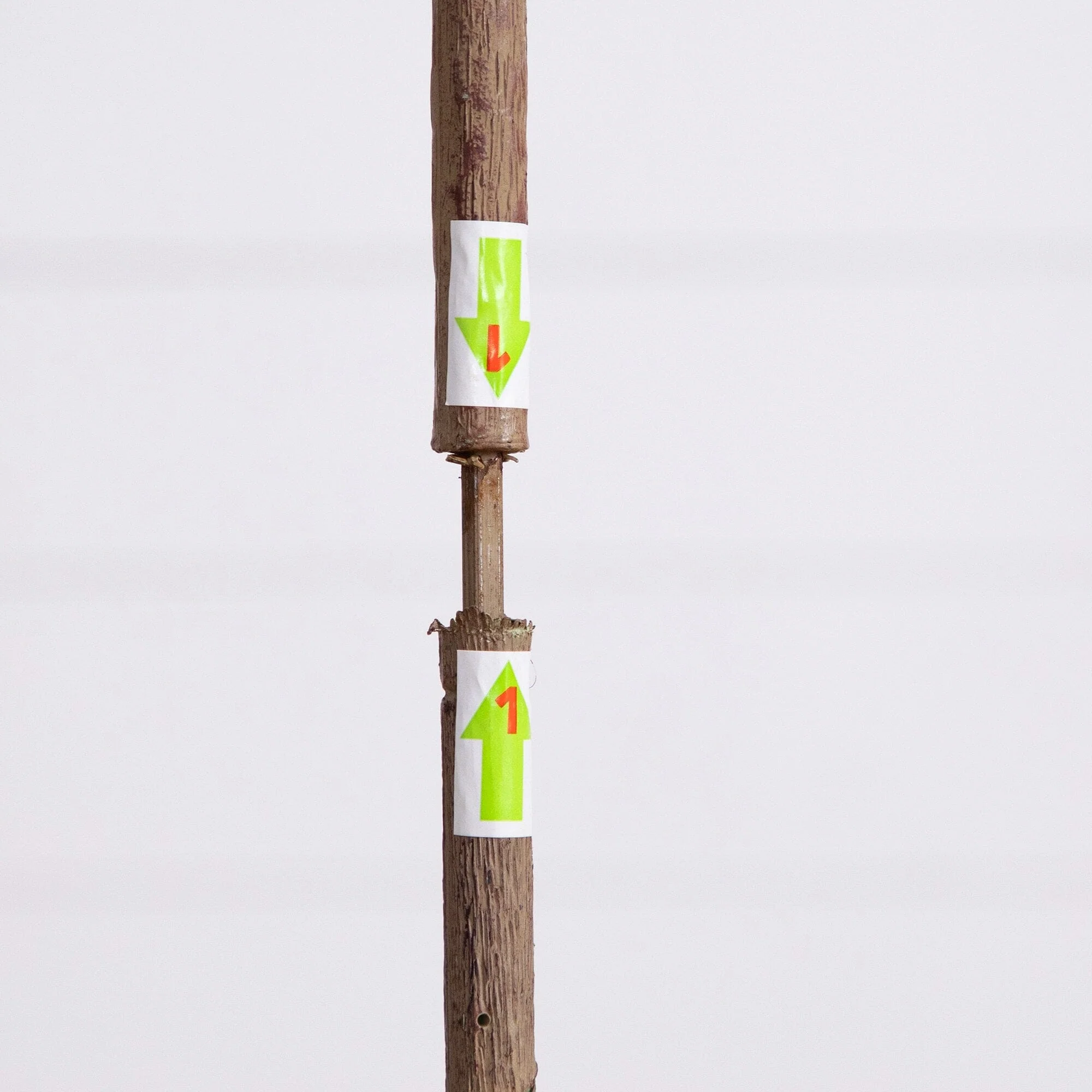 6’ Artificial Slim Minimalist Olive Tree - Image 4