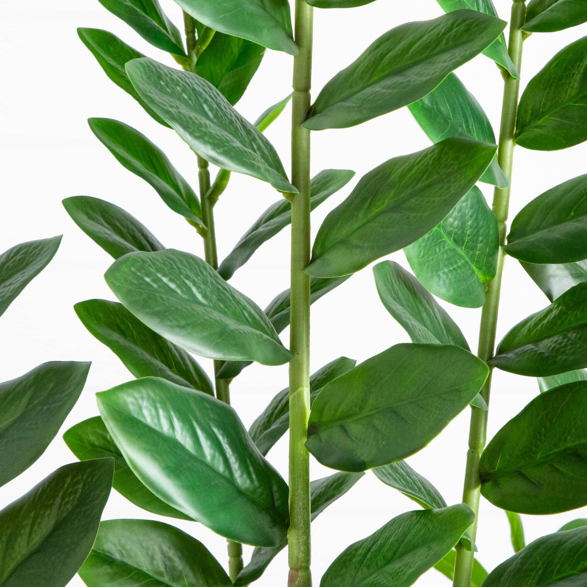 6' Artificial Zamioculcas Plant - Image 2
