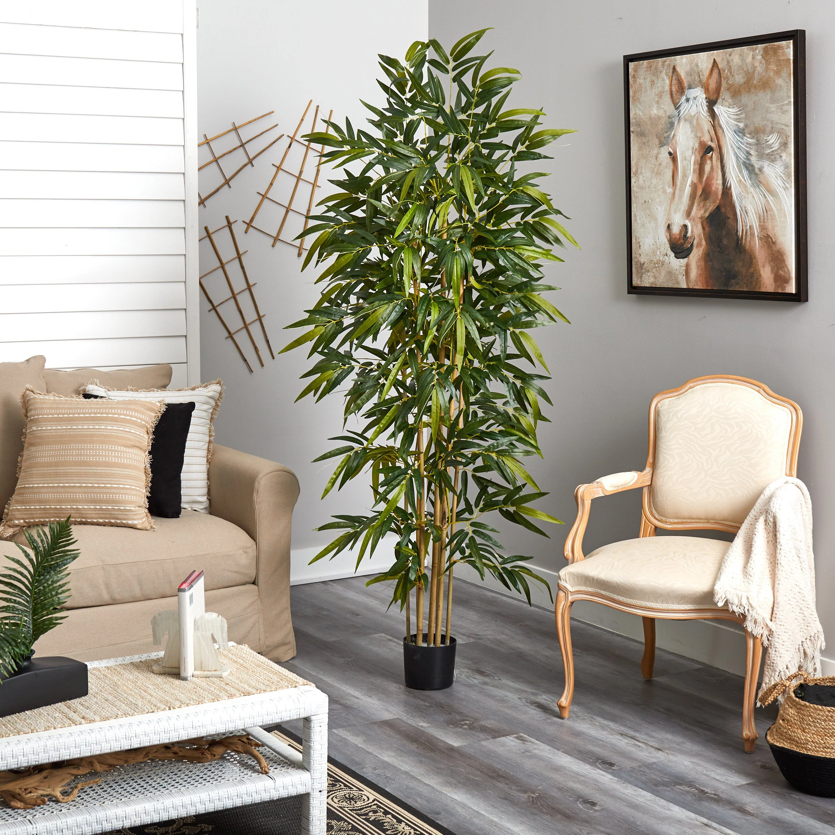 6' Bamboo Tree - Image 3