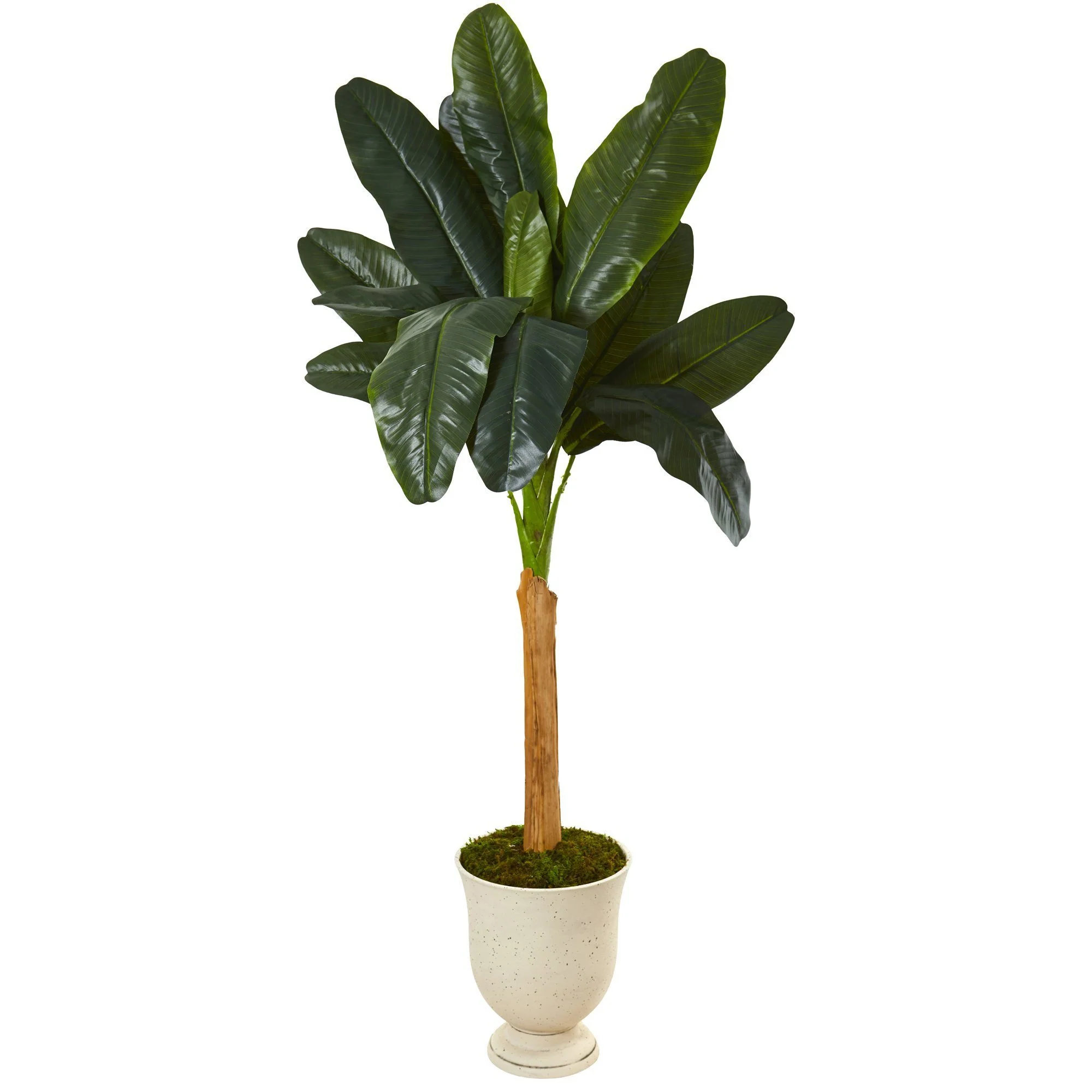 6’ Banana Artificial Tree in Decorative Urn