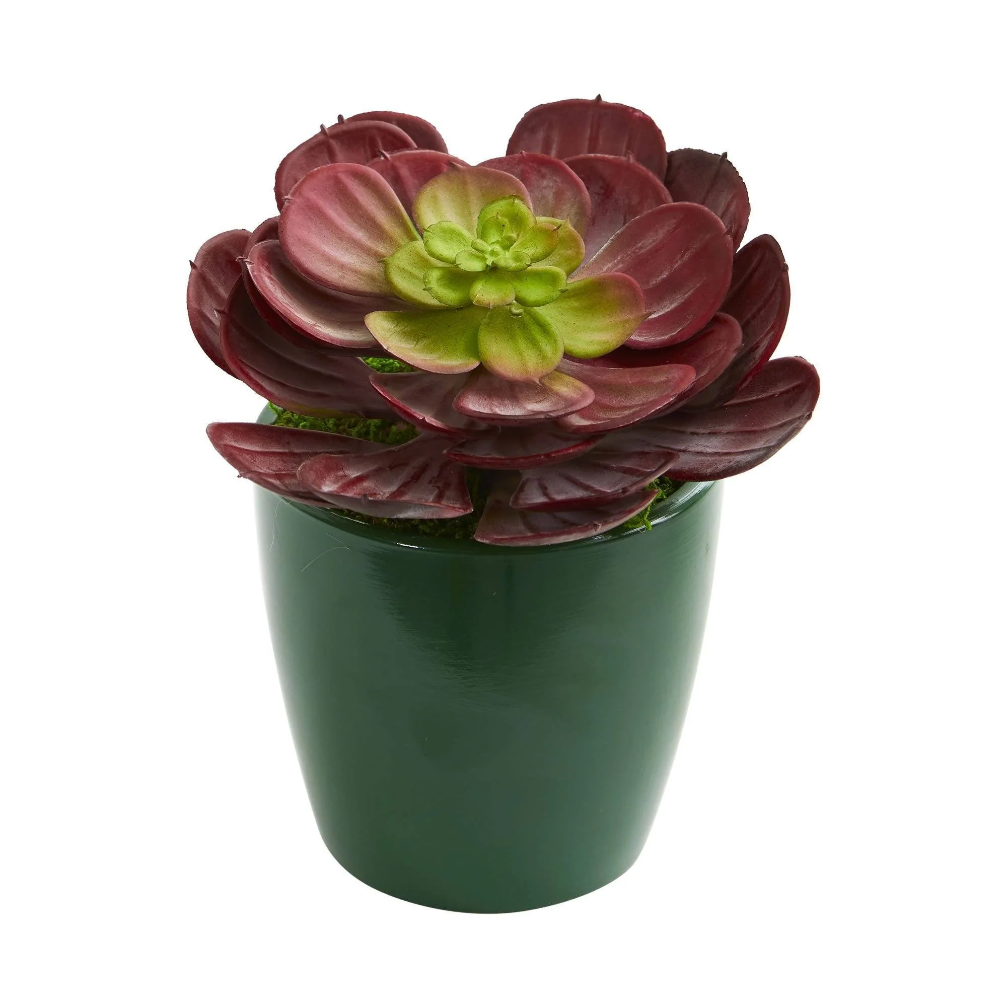 Echeveria Succulent Artificial Plant in Green Planter (Set of 2) - Image 2