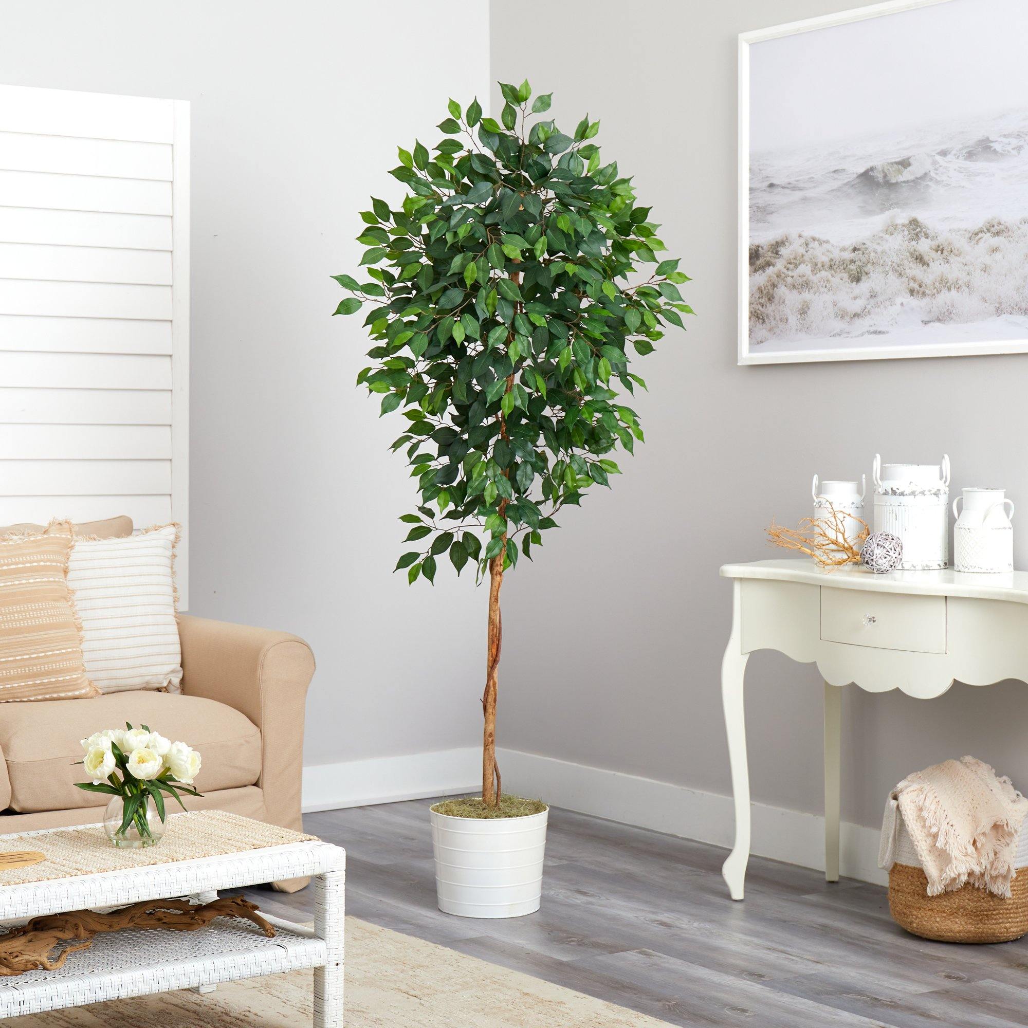 6’ Ficus Artificial Tree in White Tin Planter - Image 4