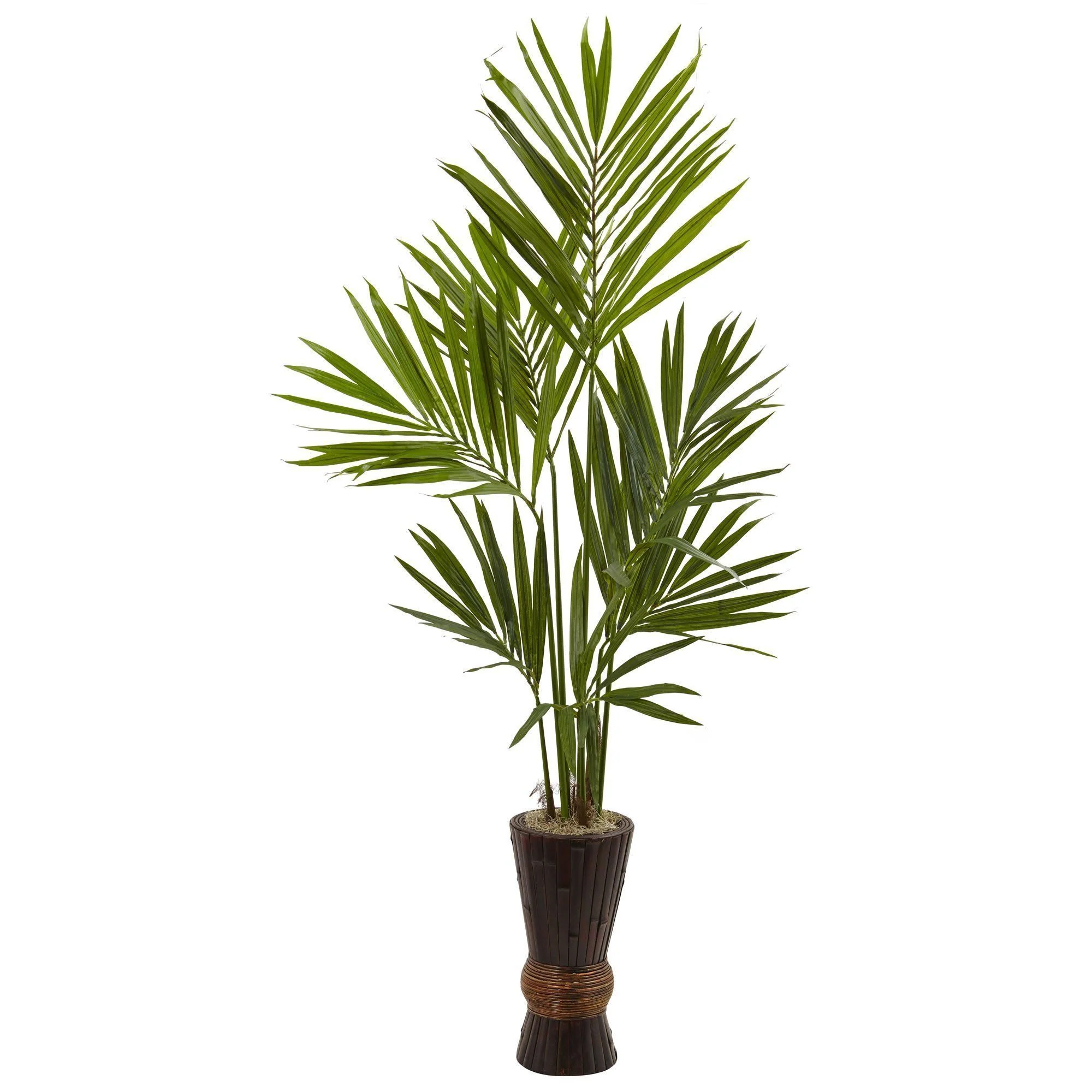 6’ Kentia Tree w/Bamboo Planter - Image 3