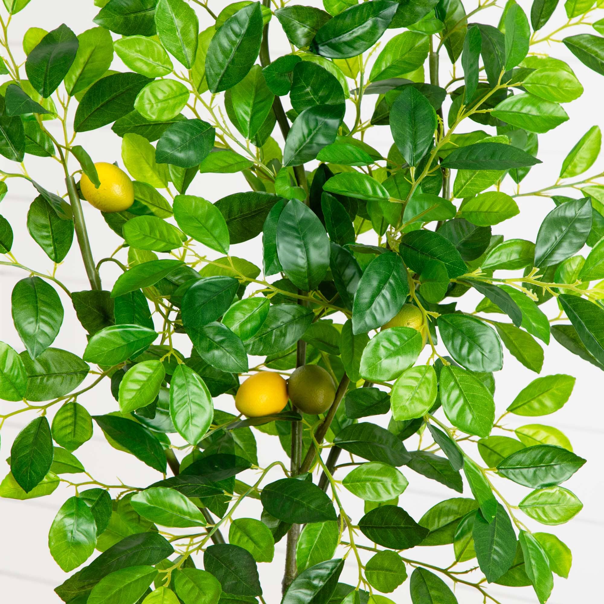 6’ Lemon Artificial Tree in Olive Green Planter - Image 2