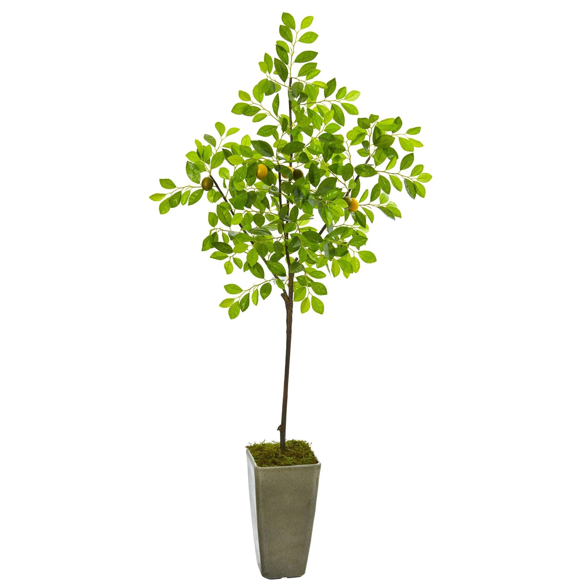 6’ Lemon Artificial Tree in Olive Green Planter - Image 3