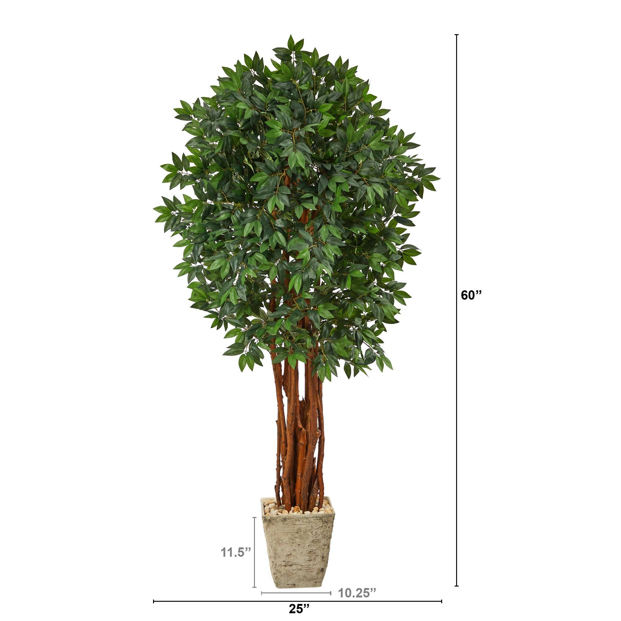 6’ Lychee Artificial Tree in Country White Planter - Image 2