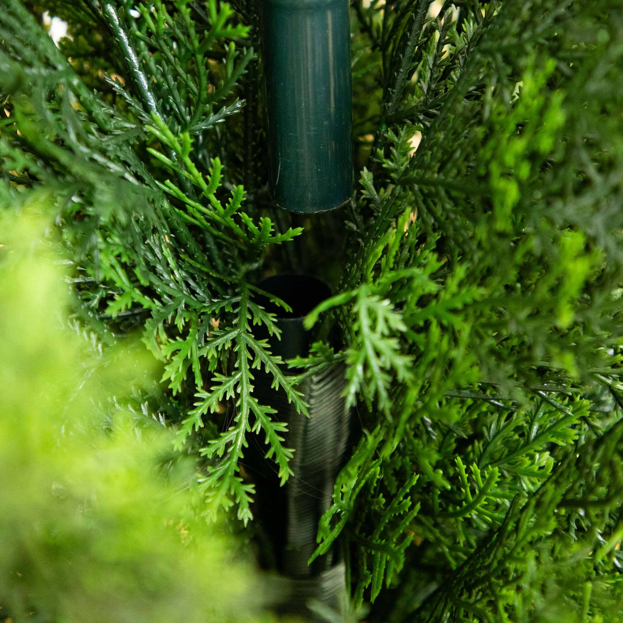 6' Mini Cedar Pine Tree (Indoor/Outdoor) - Image 3