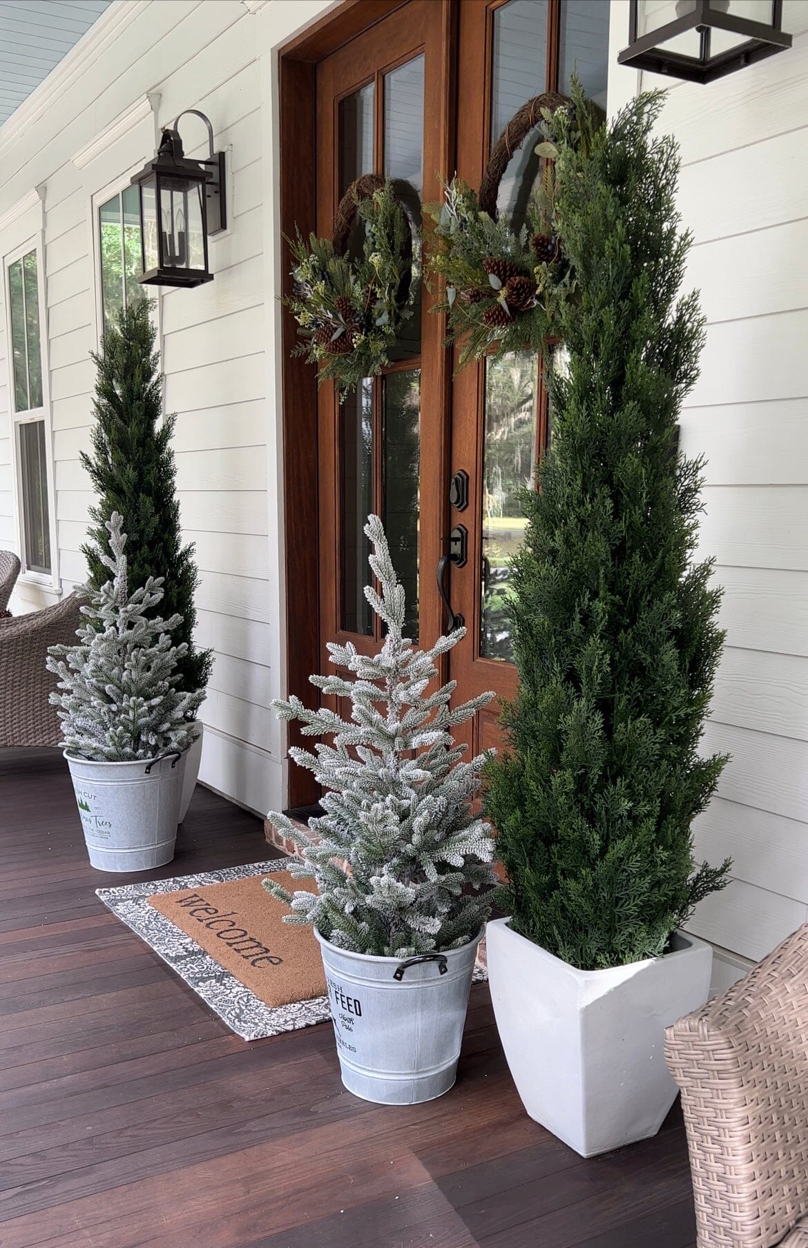 6' Mini Cedar Pine Tree (Indoor/Outdoor) - Image 4