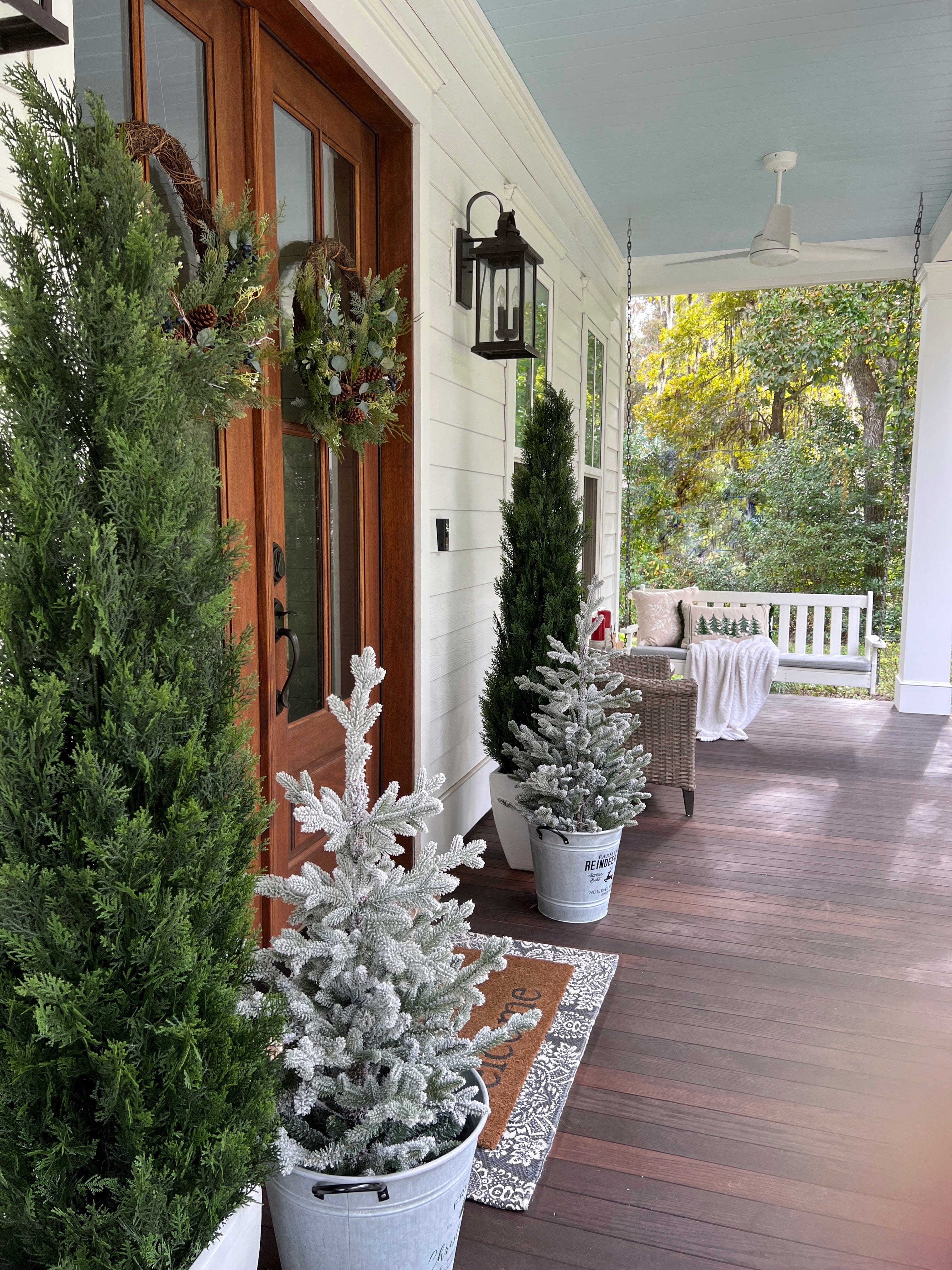 6' Mini Cedar Pine Tree (Indoor/Outdoor) - Image 6