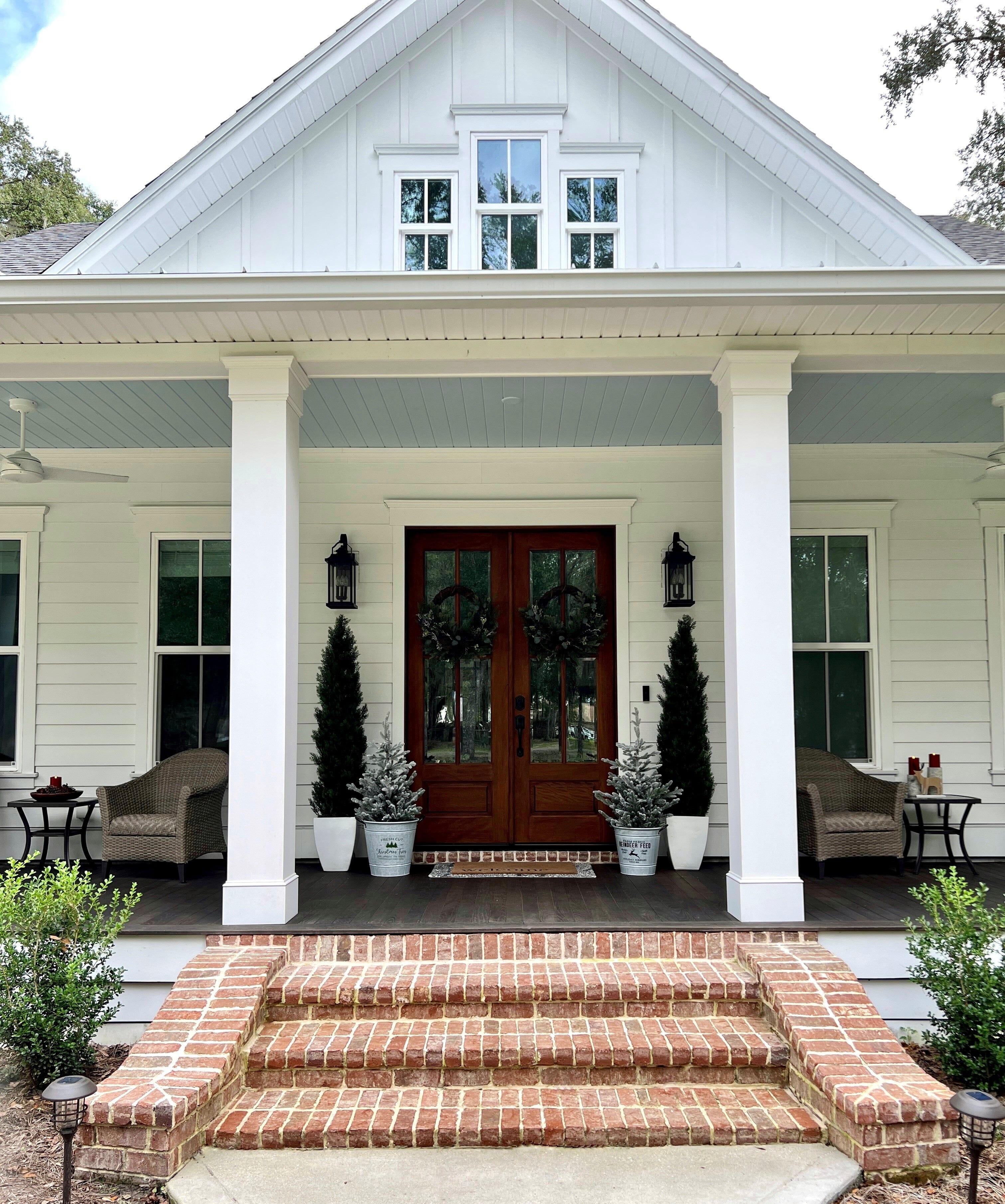 6' Mini Cedar Pine Tree (Indoor/Outdoor) - Image 7