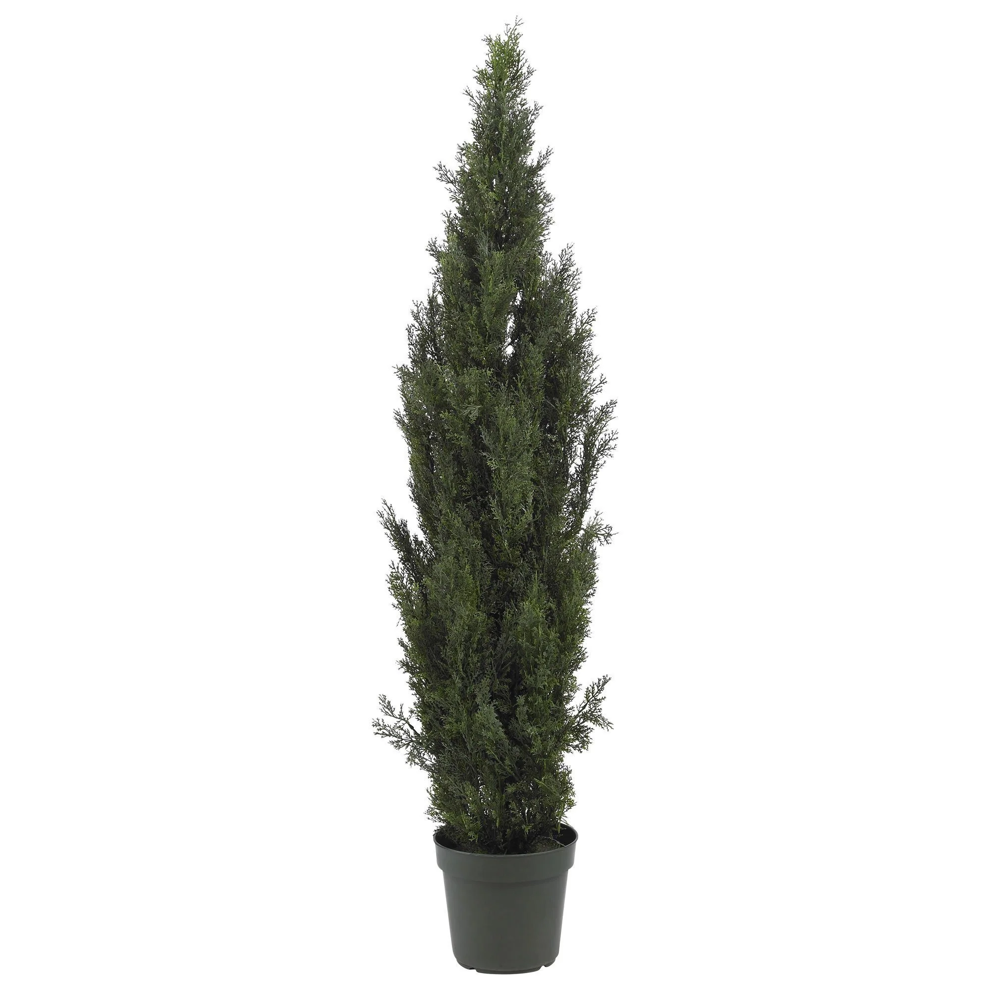 6' Mini Cedar Pine Tree (Indoor/Outdoor) - Image 8