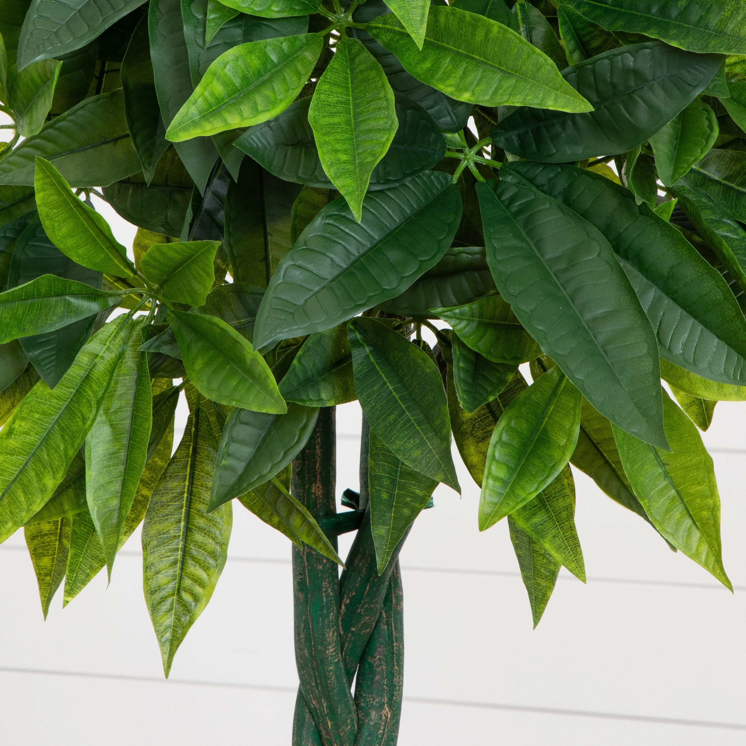 5.5’ Money Artificial Tree in Gray Cylinder Planter (Real Touch) - Image 3