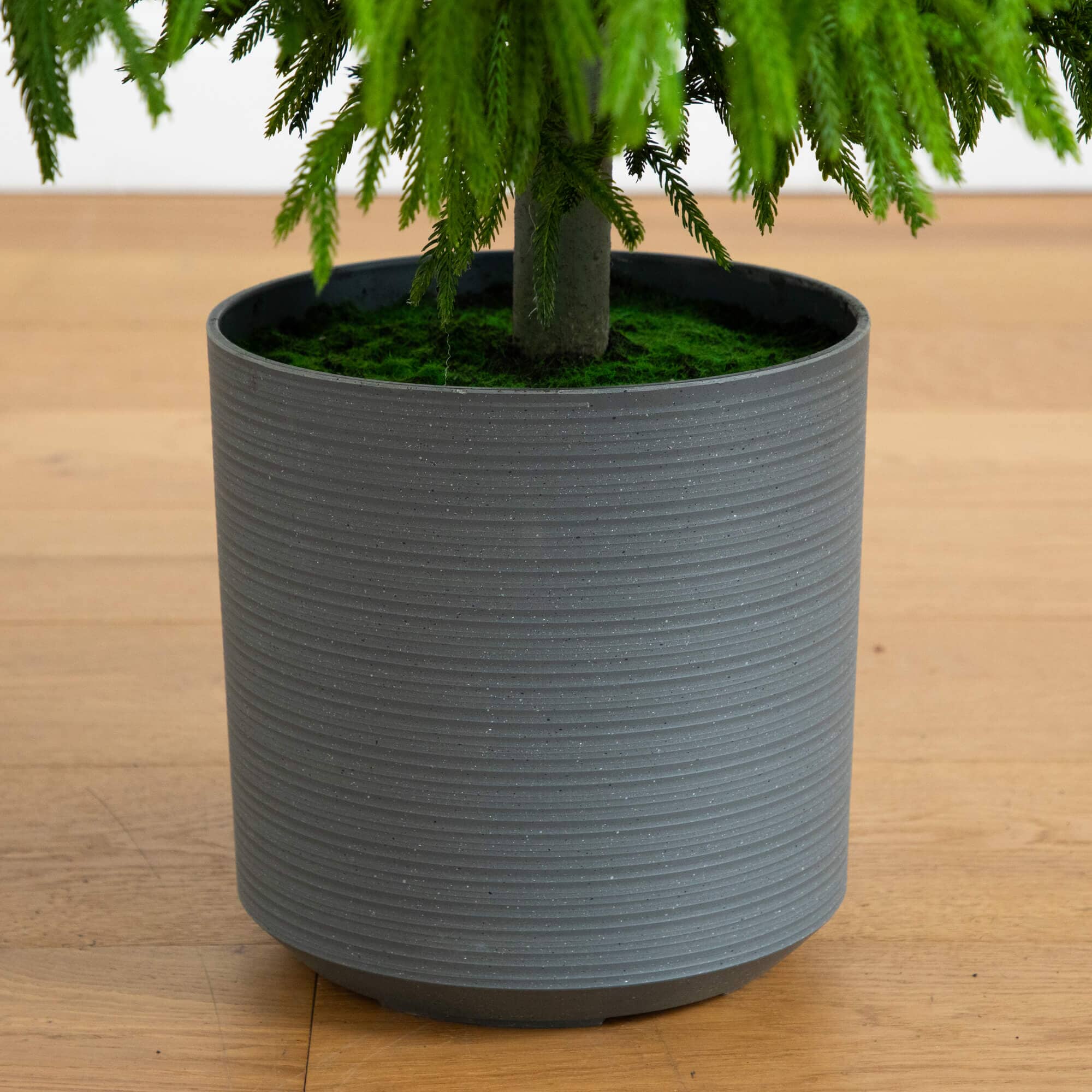 6' Artificial Real Touch Norfolk Island Pine Christmas Tree with Natural Look - Image 5