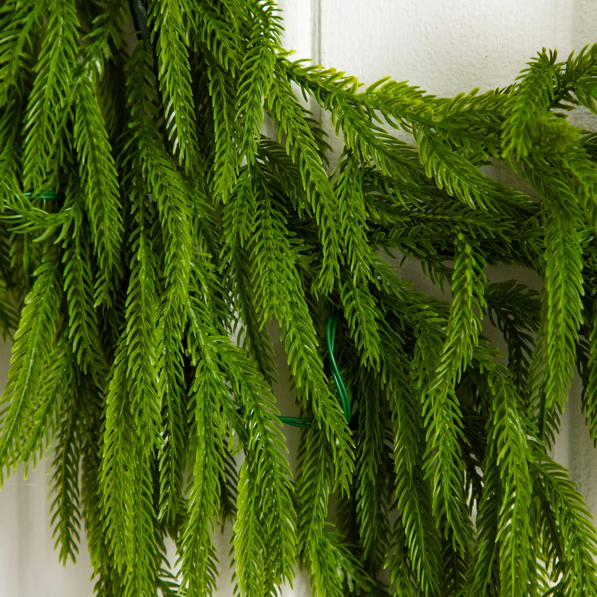 6' Pre-Lit Artificial Real touch Norfolk Island Pine Garland with 35 Warm White LED Lights and Natural Look - Image 5