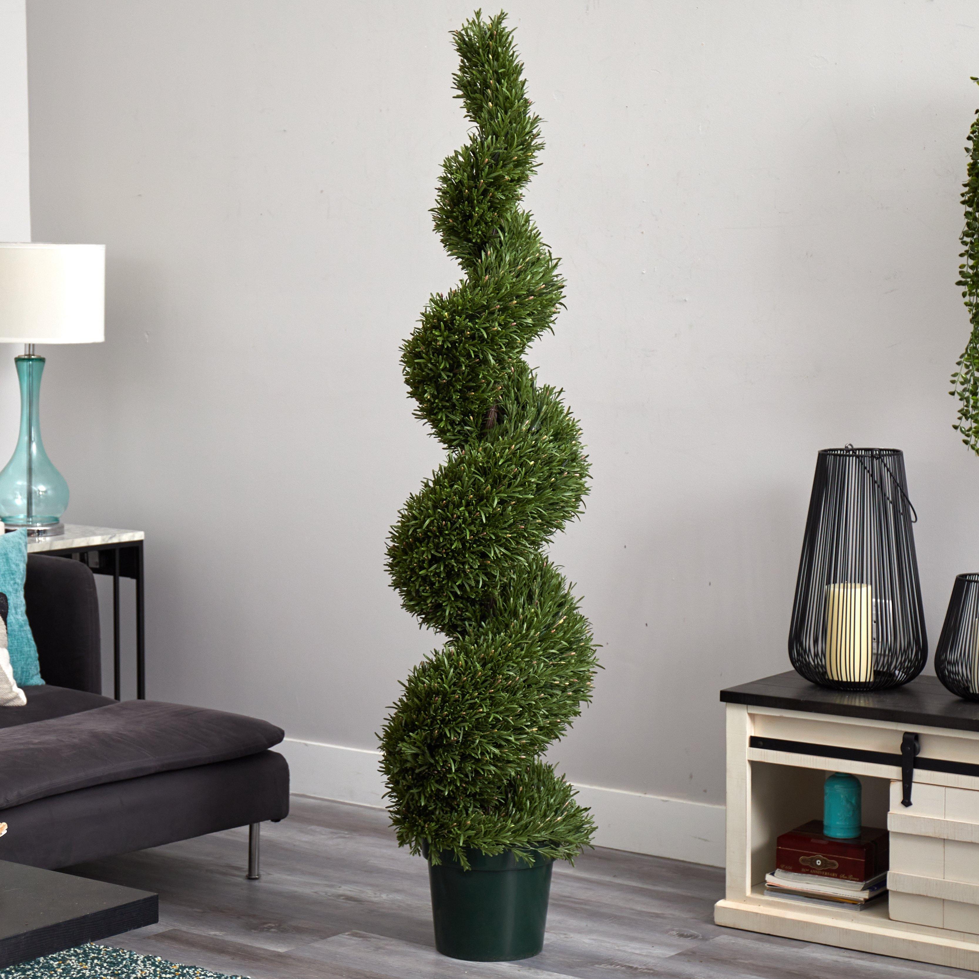 6' Rosemary Spiral Tree (Indoor/Outdoor) - Image 3