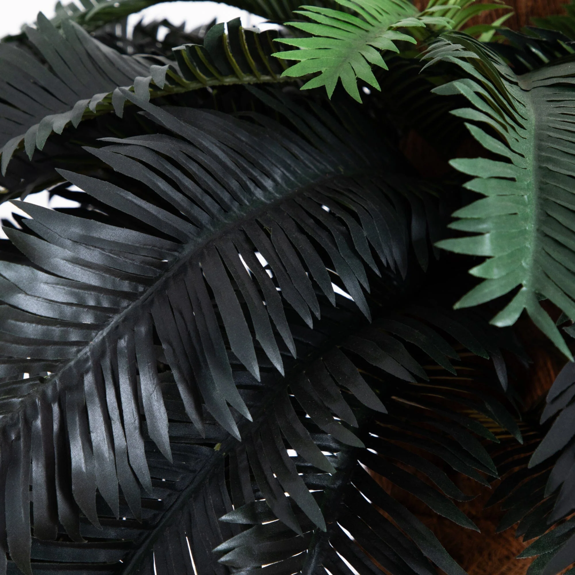6' Sago Palm Silk Tree - Image 2