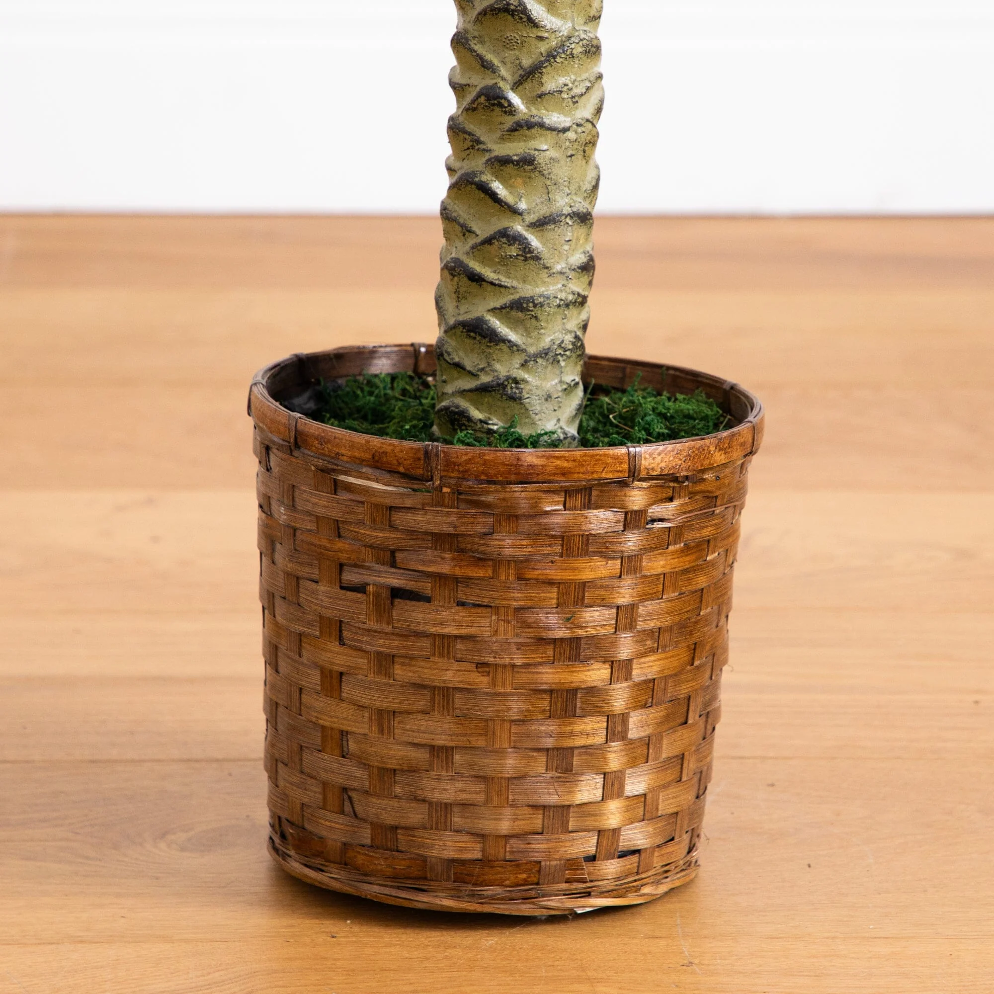 6' Sago Palm Silk Tree - Image 5