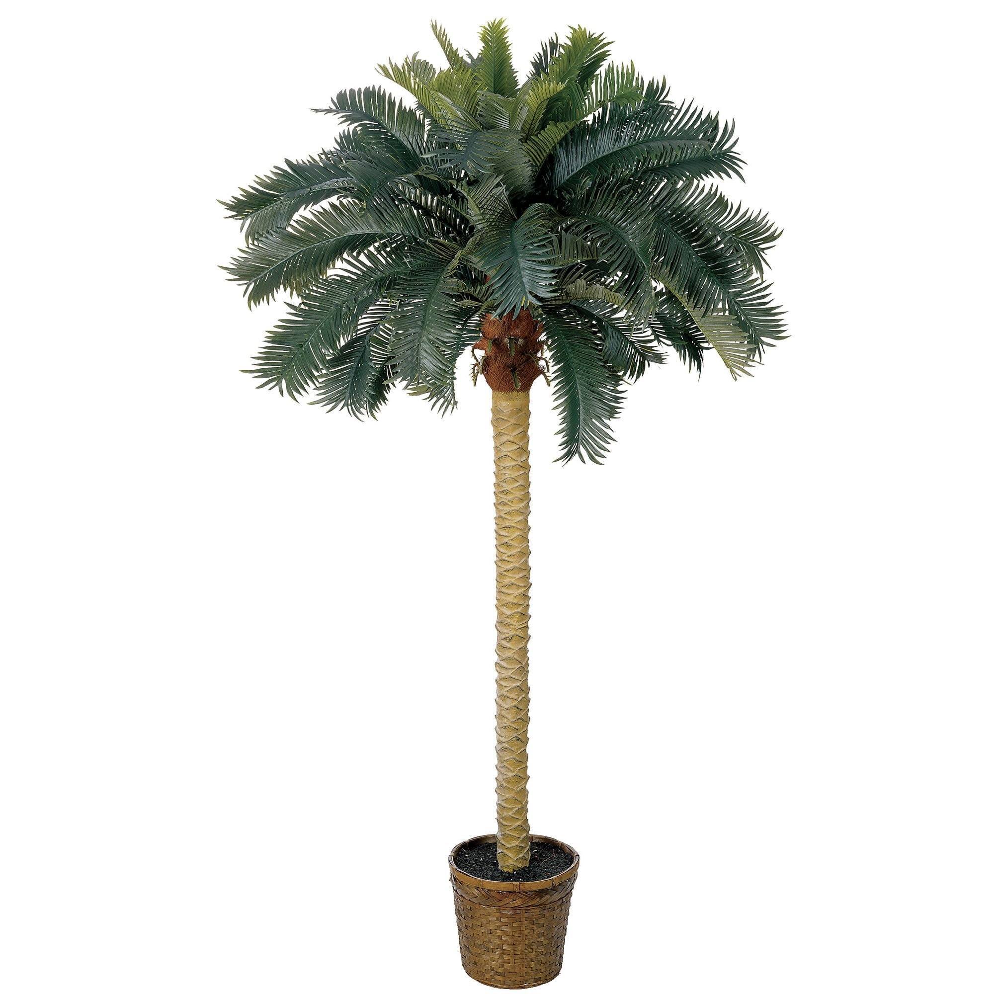 6' Sago Palm Silk Tree - Image 8