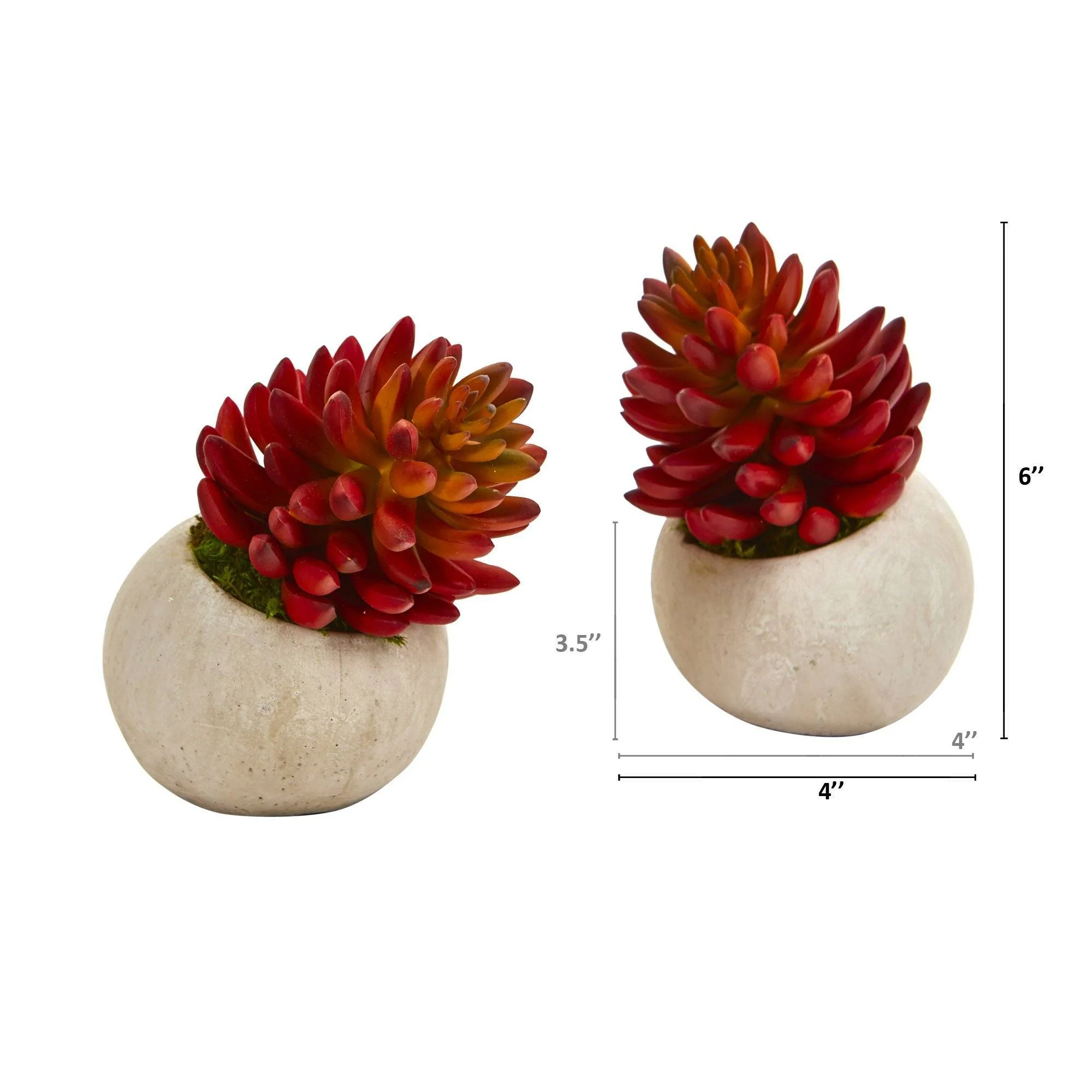 6” Succulent Artificial Plant in Stone Planter (Set of 2) - Image 2