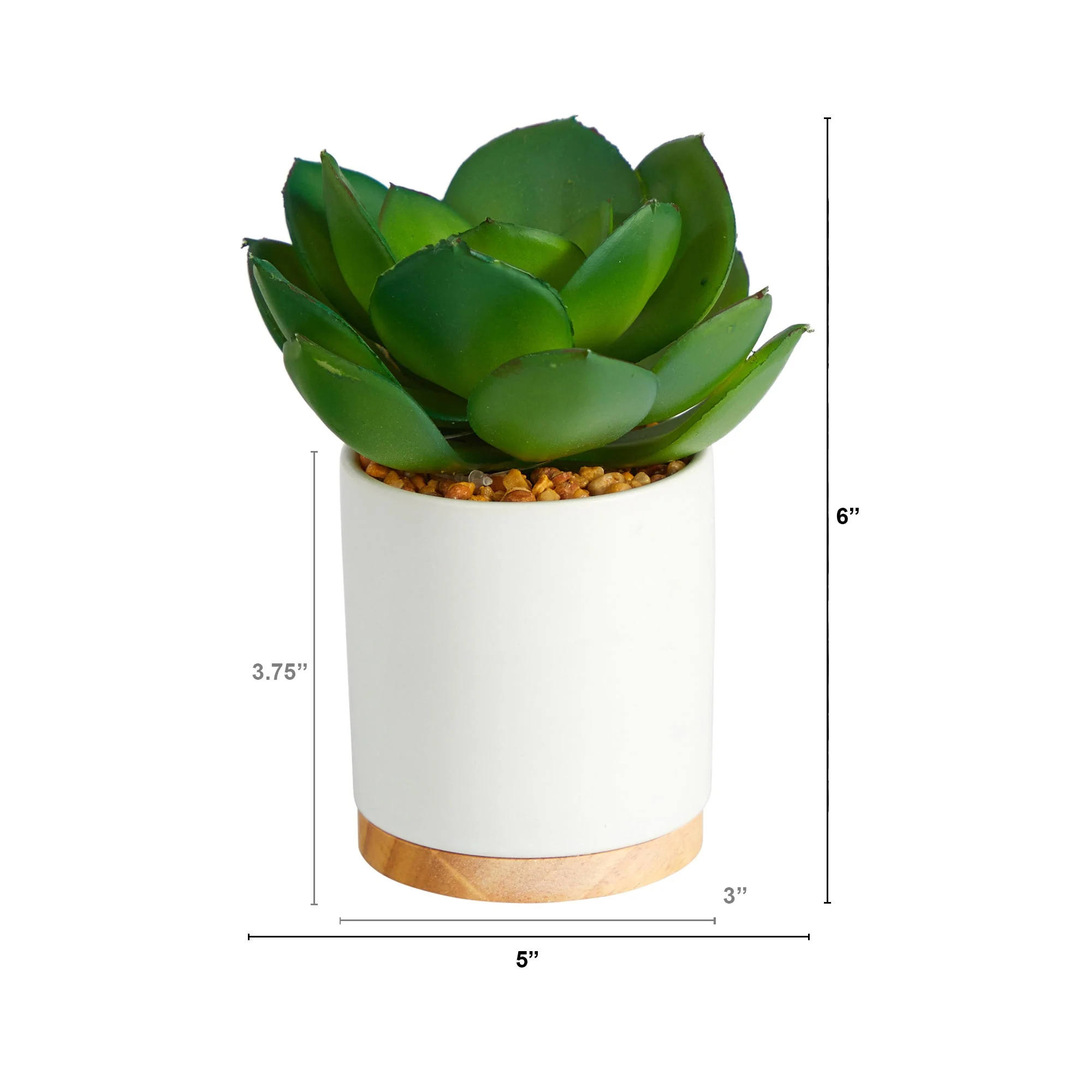 6” Succulent Artificial Plant in White Ceramic Planter - Image 2