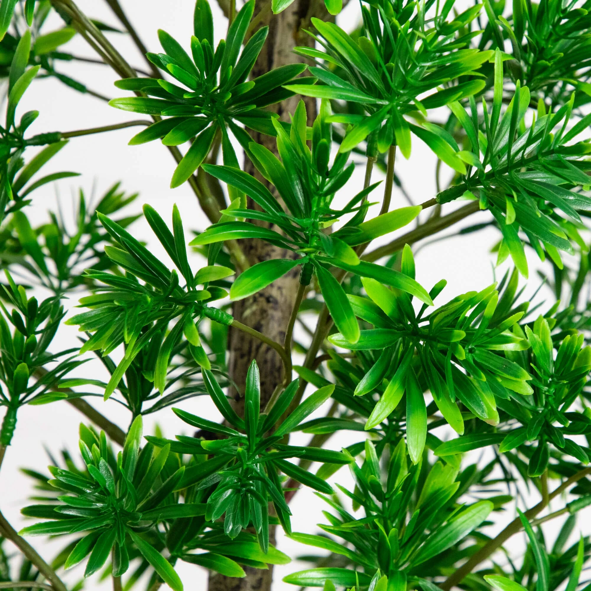 6' UV Artificial Podocarpus Artificial Tree (Indoor/Outdoor) - Image 2
