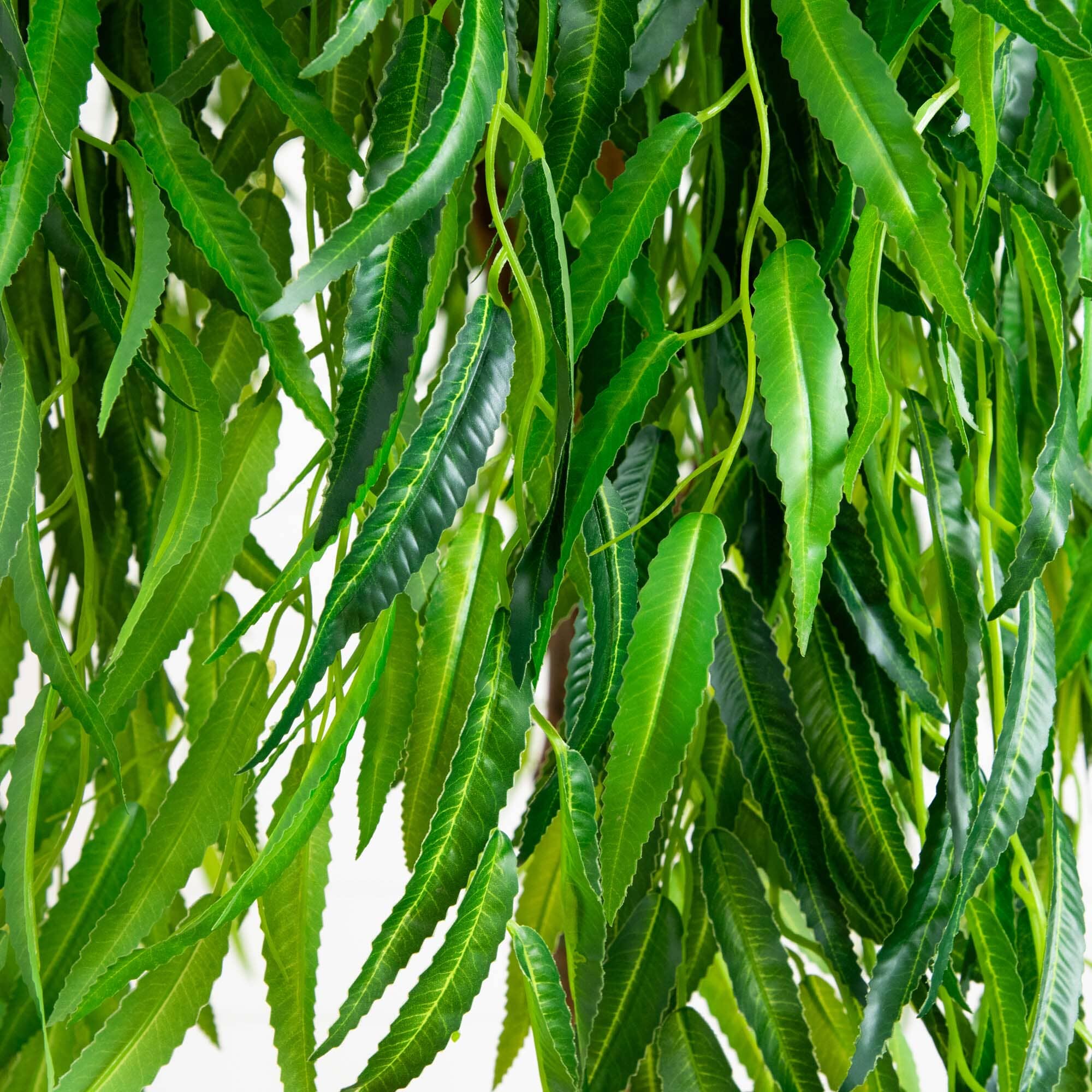 6’ Willow Artificial Tree  (Real Touch) - Image 2