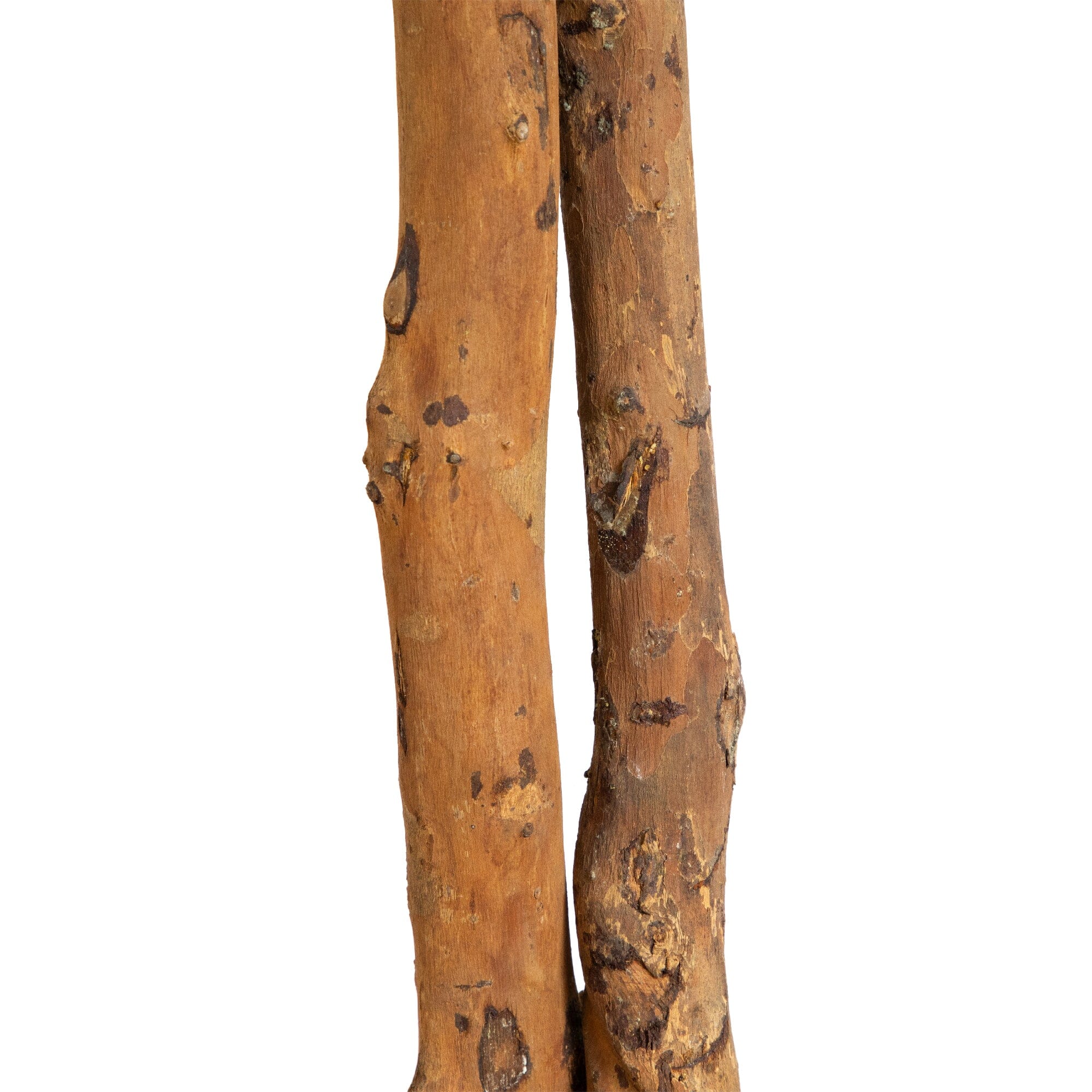 6’ Willow Artificial Tree  (Real Touch) - Image 5