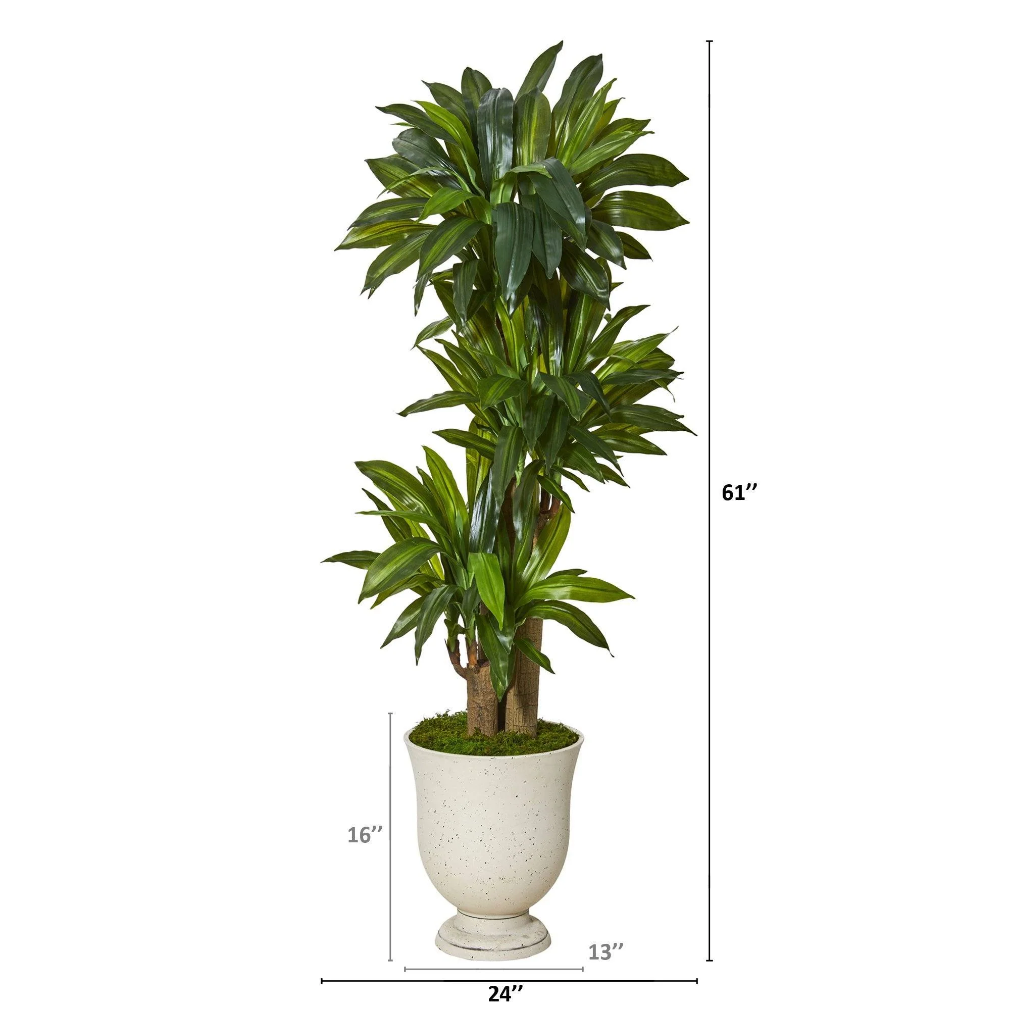 61” Corn Stalk Dracaena Artificial Plant in Decorative Urn (Real Touch) - Image 2