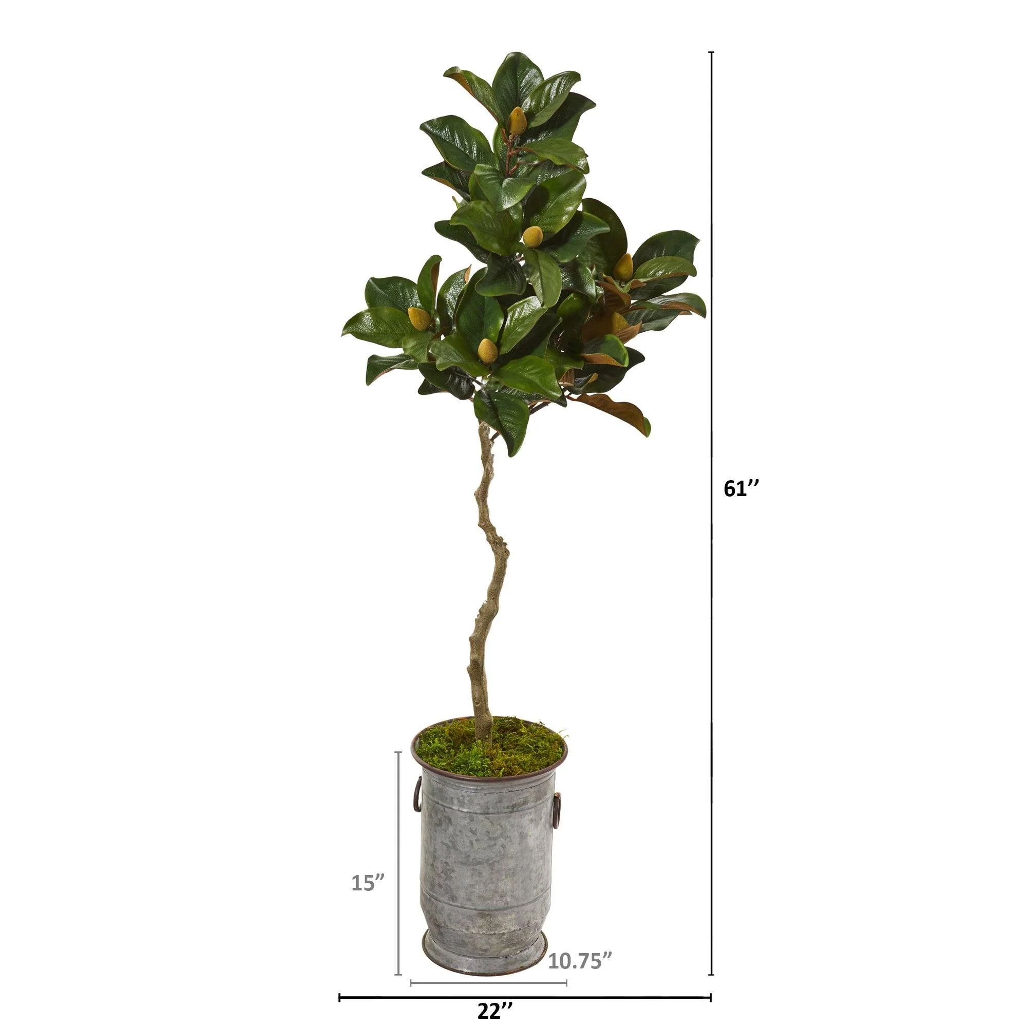 61” Magnolia Artificial Tree in Vintage Metal Planter - Image 2