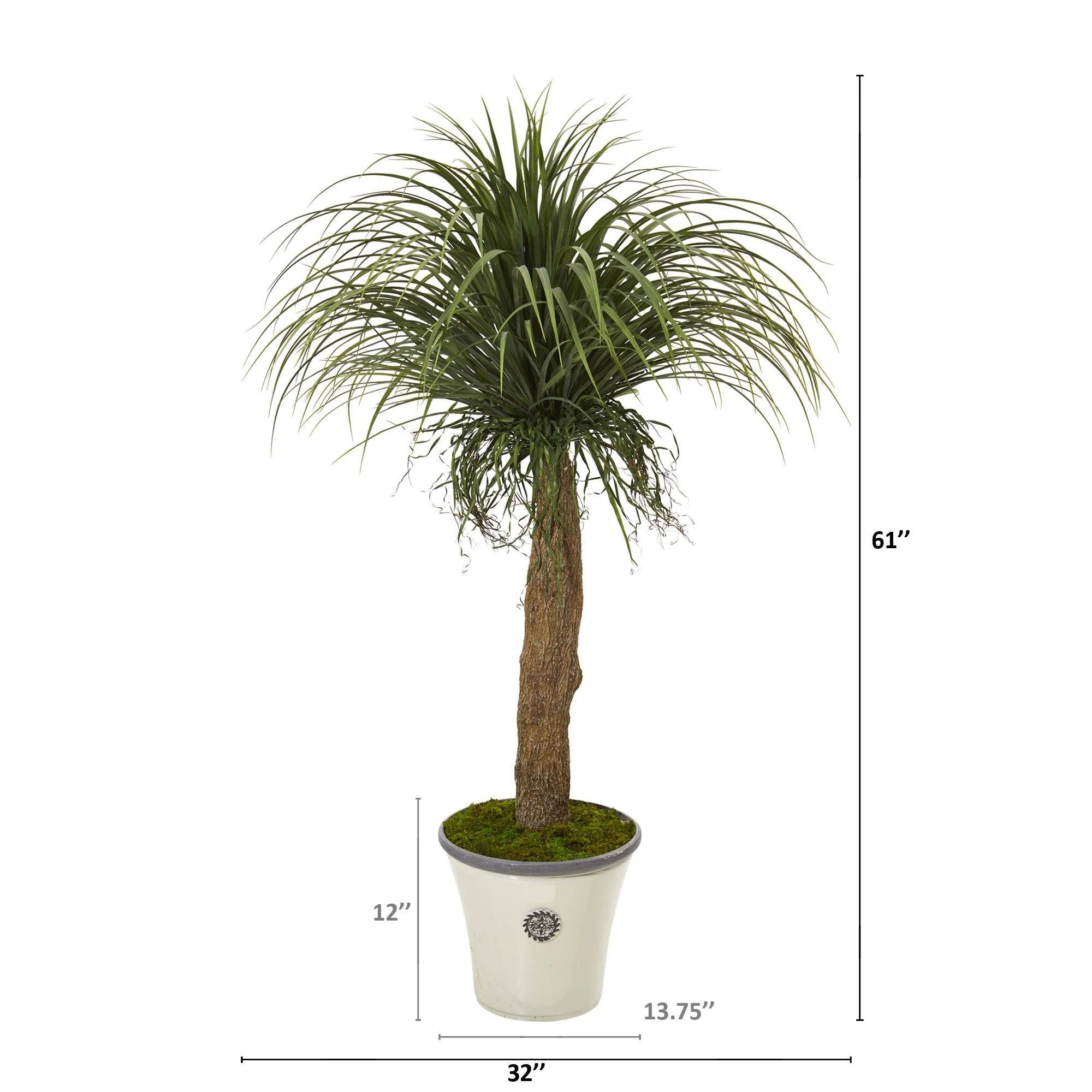 61” Pony Tail Palm Artificial Plant in Decorative Planter - Image 2