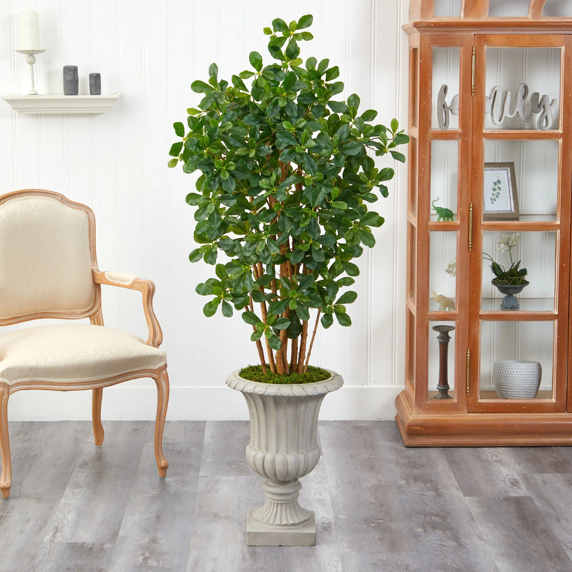 63” Black Olive Artificial Tree in Sand Finished Urn - Image 3