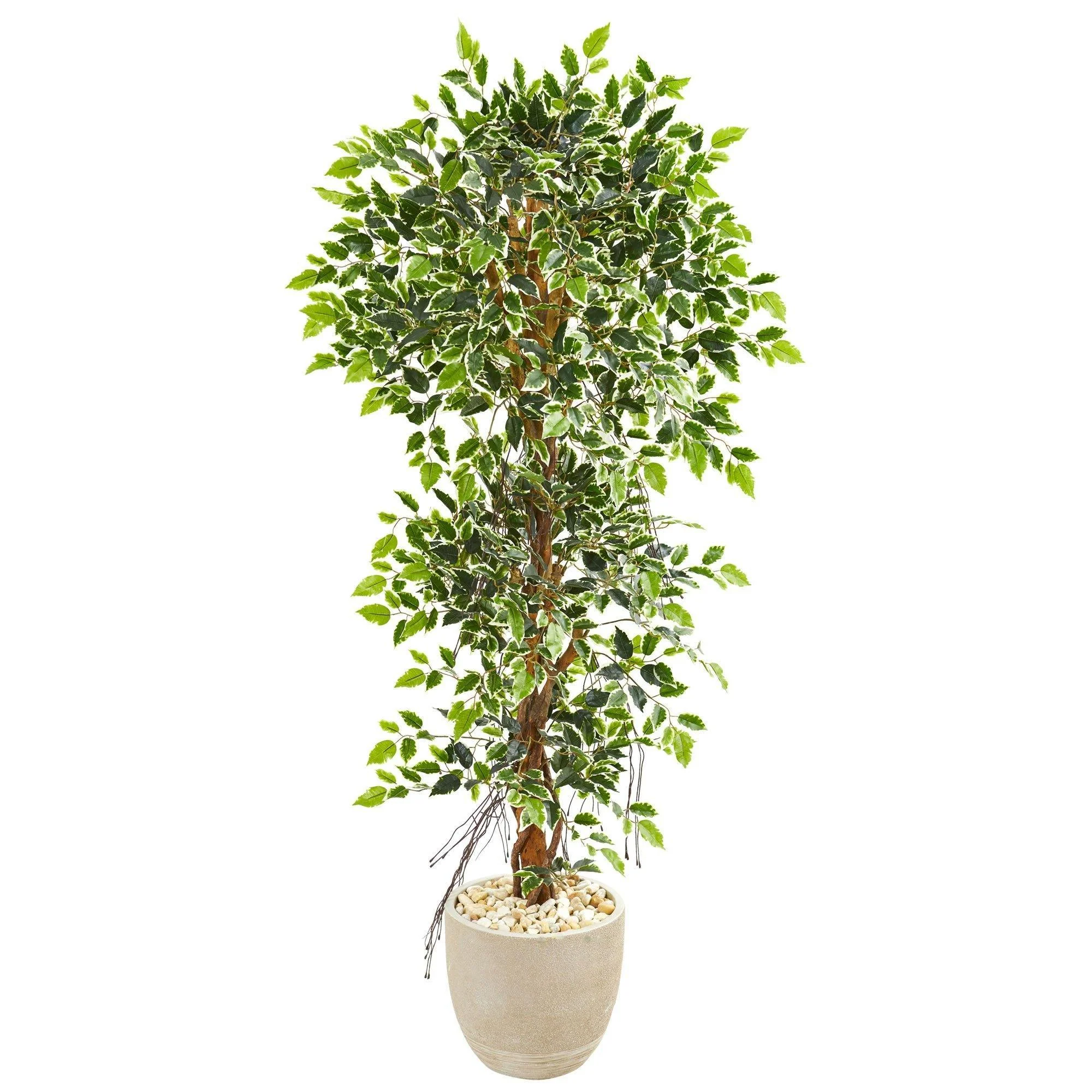 63” Elegant Ficus Artificial Tree in Sandstone Planter - Image 3