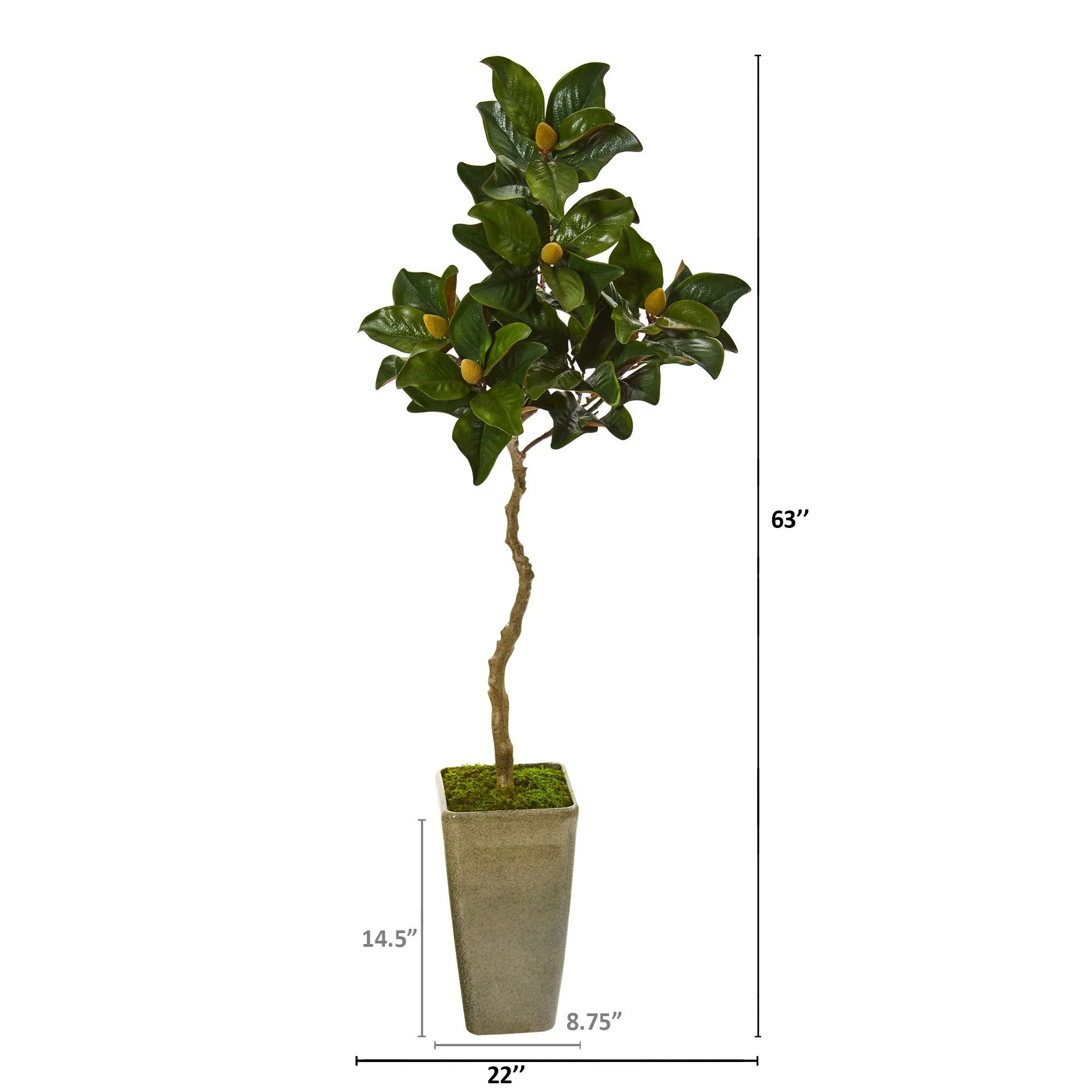 63” Magnolia Artificial Tree in Green Planter - Image 2