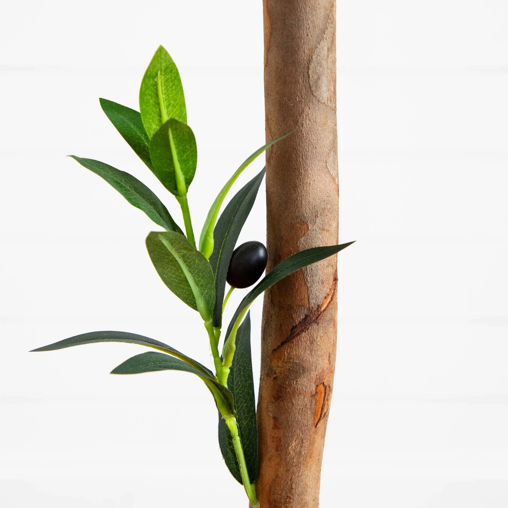 63” Olive Topiary Artificial Tree in Terra Cotta Planter (Indoor/Outdoor) - Image 3