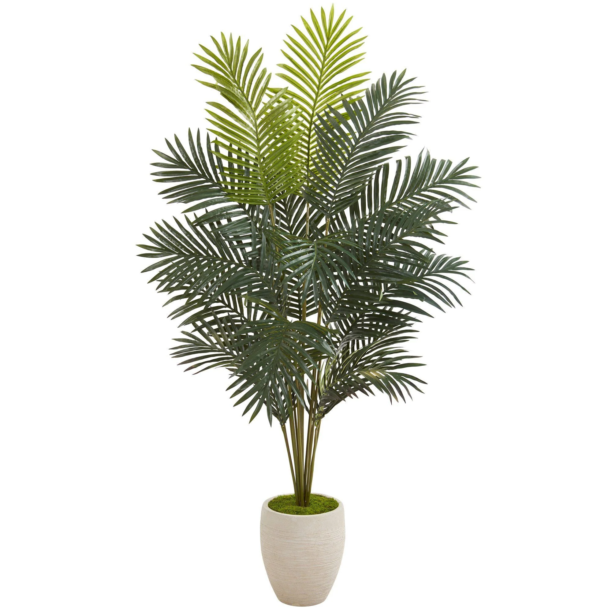63” Paradise Palm Artificial Plant in Sand Colored Planter