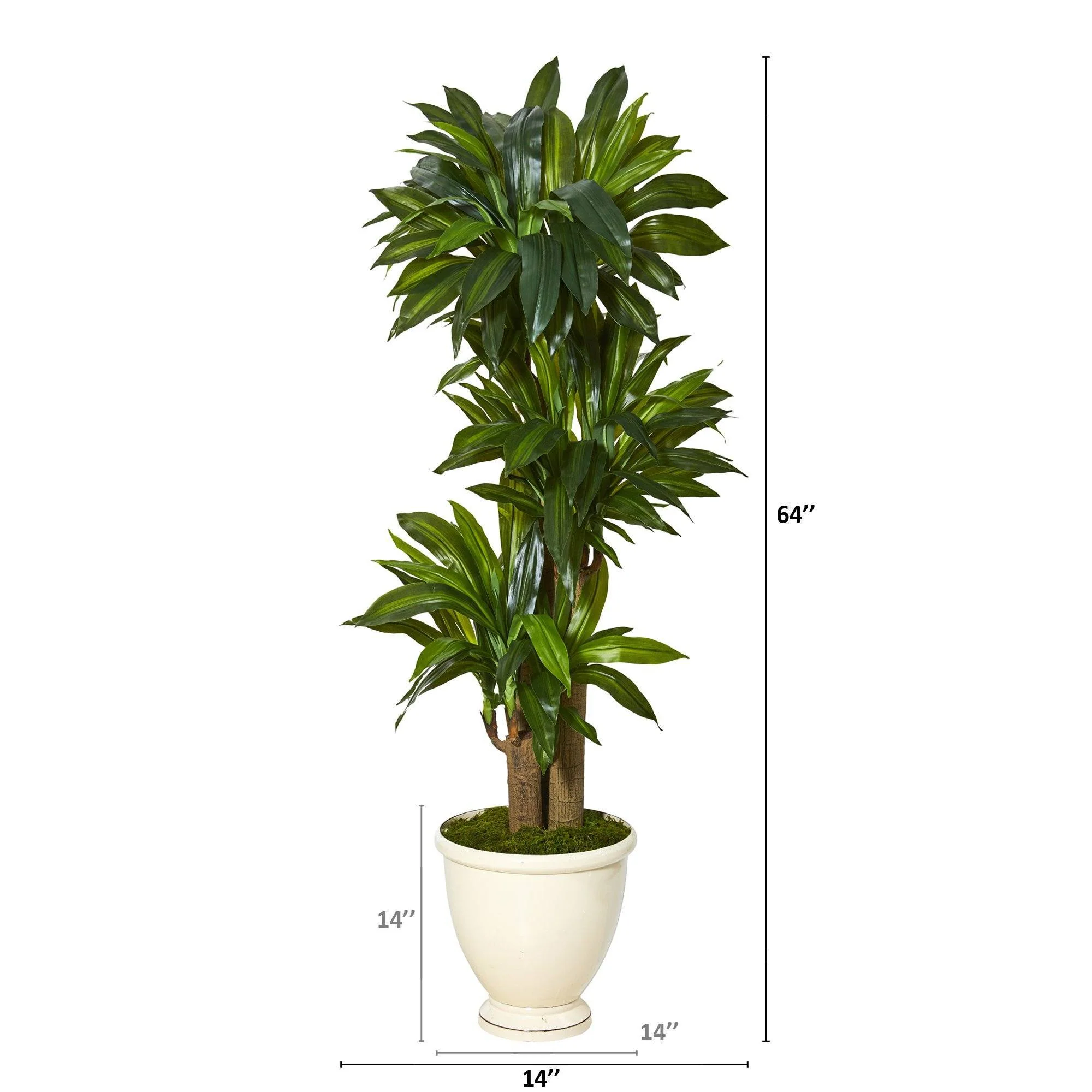 64” Corn Stalk Dracaena Artificial Plant in Urn Planter (Real Touch) - Image 2