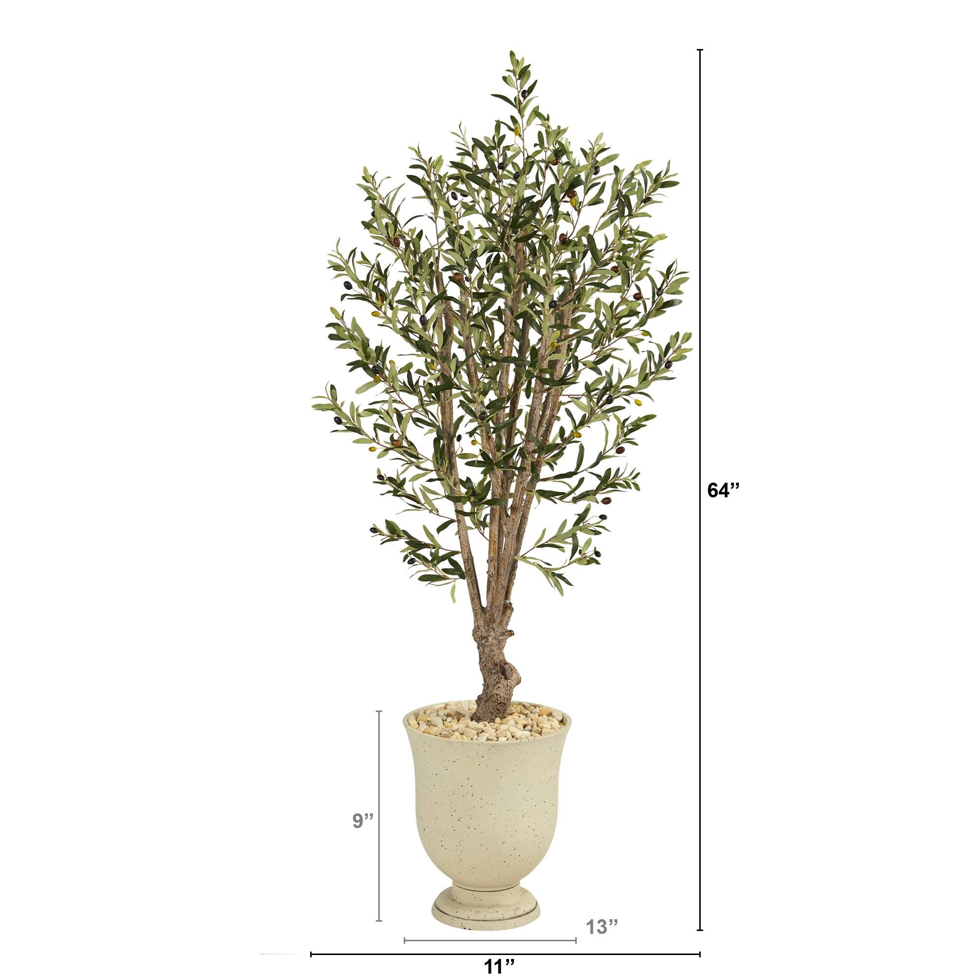 64” Olive Artificial Tree in Decorative Urn - Image 2