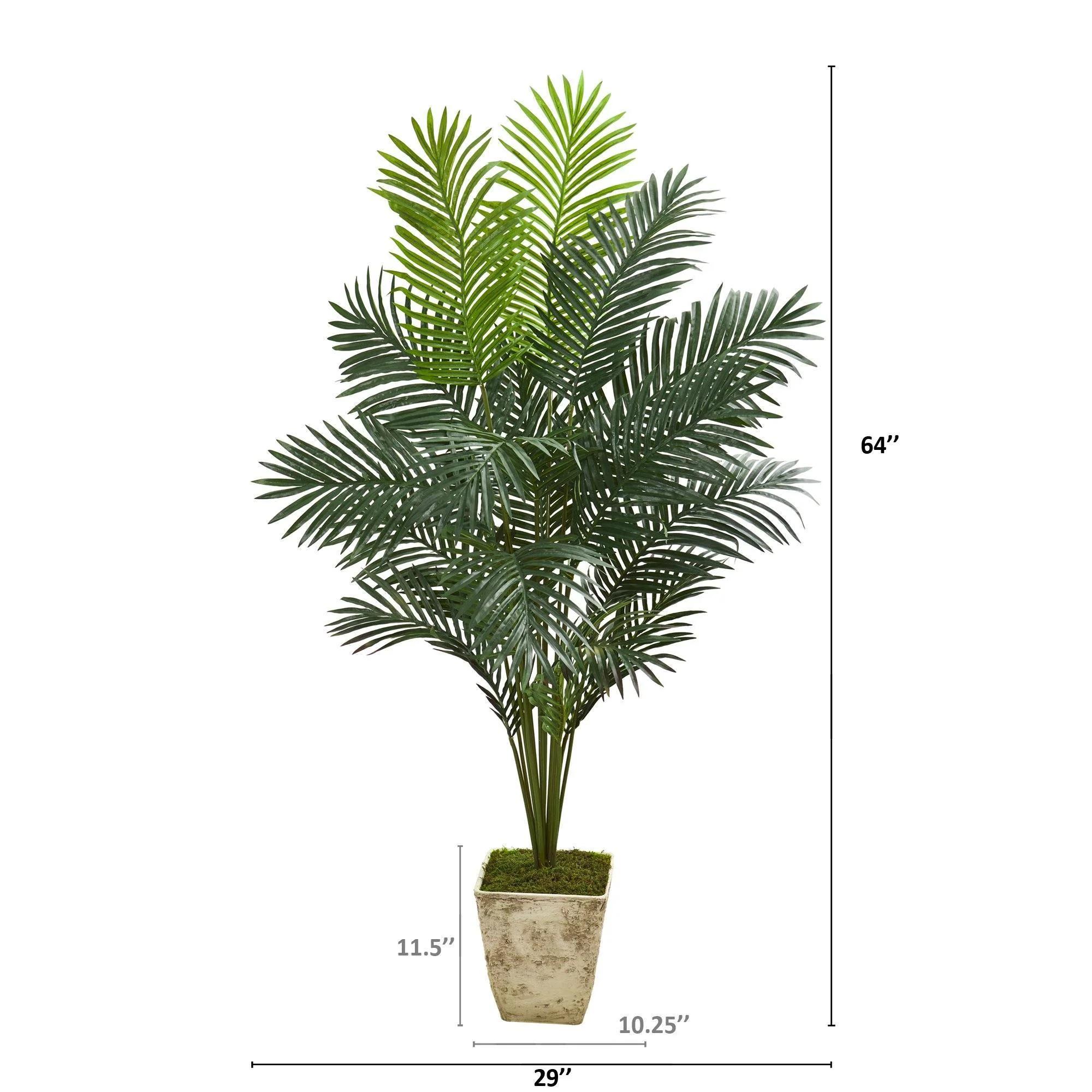 64” Paradise Palm Artificial Plant in Country White Planter - Image 2