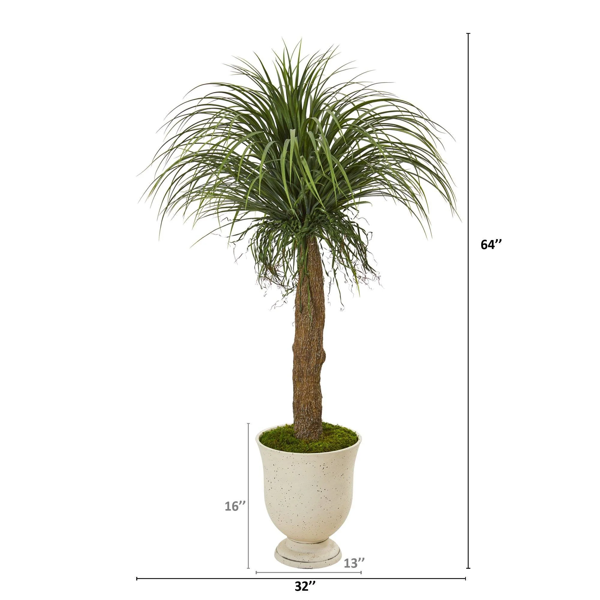 64” Pony Tail Palm Artificial Plant in Decorative Urn - Image 2
