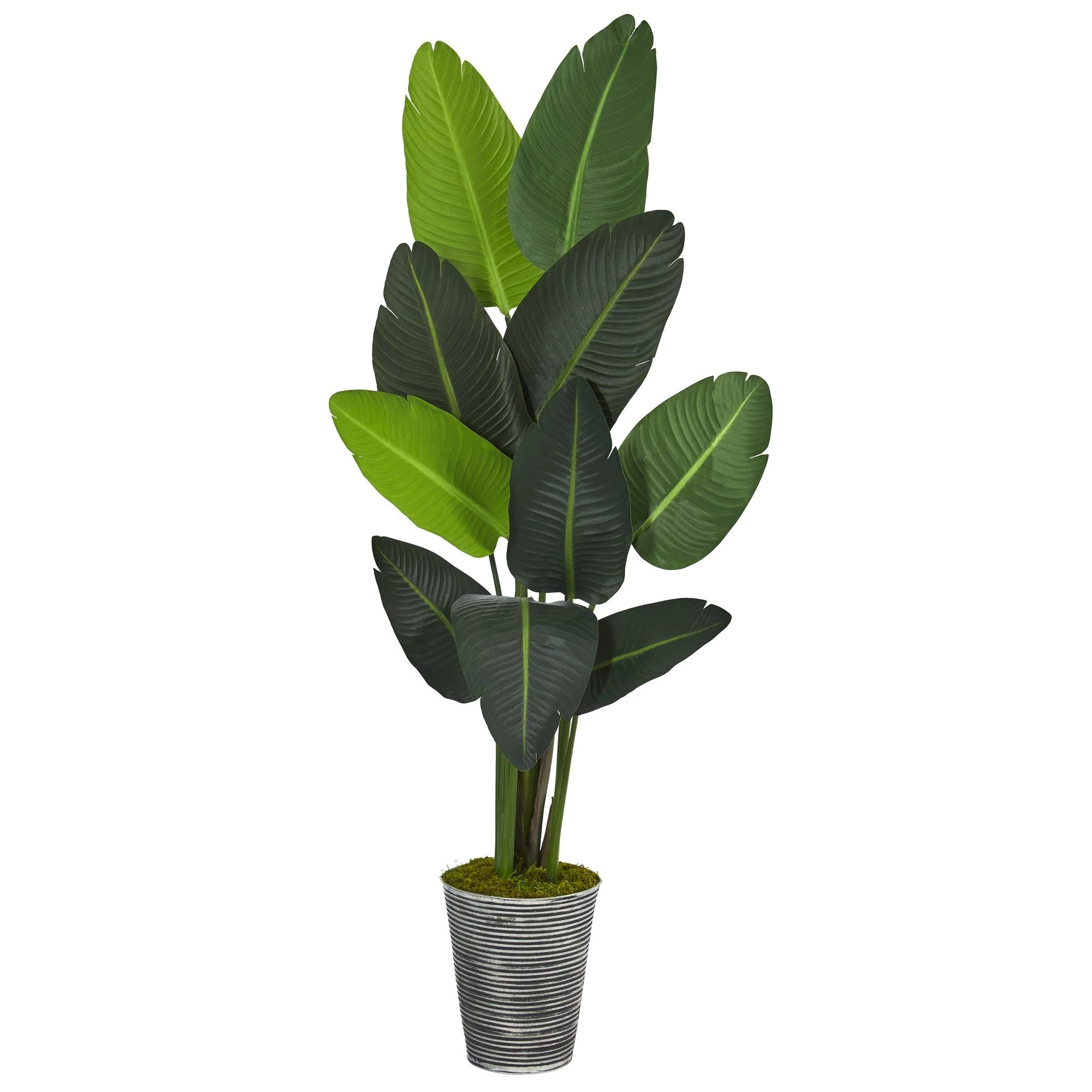 64” Traveler's Palm Artificial Tree in Decorative Tin Planter