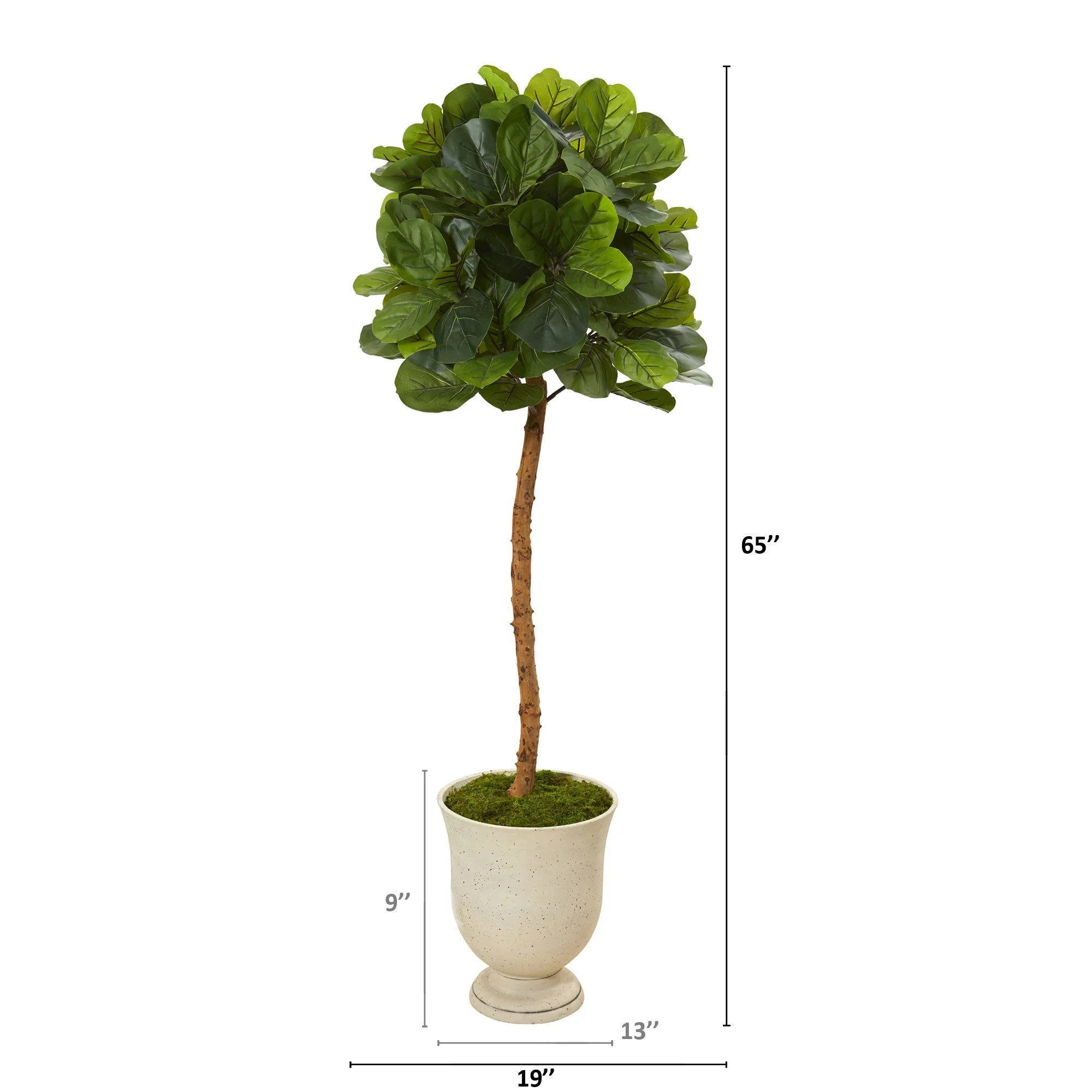 65” Fiddle Leaf Artificial Tree in Decorative Urn (Real Touch) - Image 2