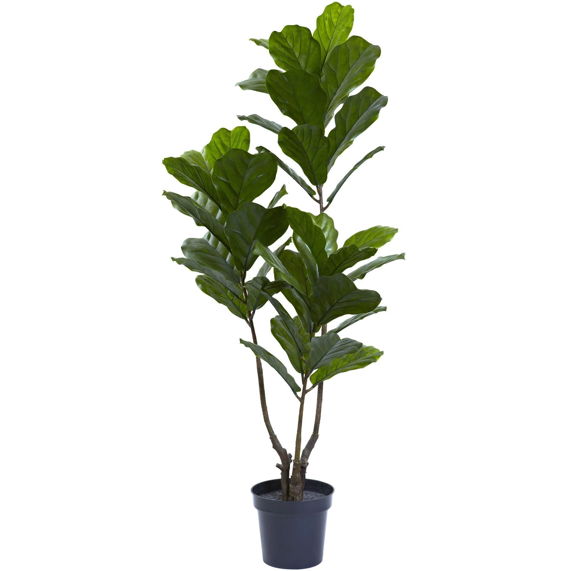 65” Fiddle Leaf Tree UV Resistant (Indoor/Outdoor) - Image 5