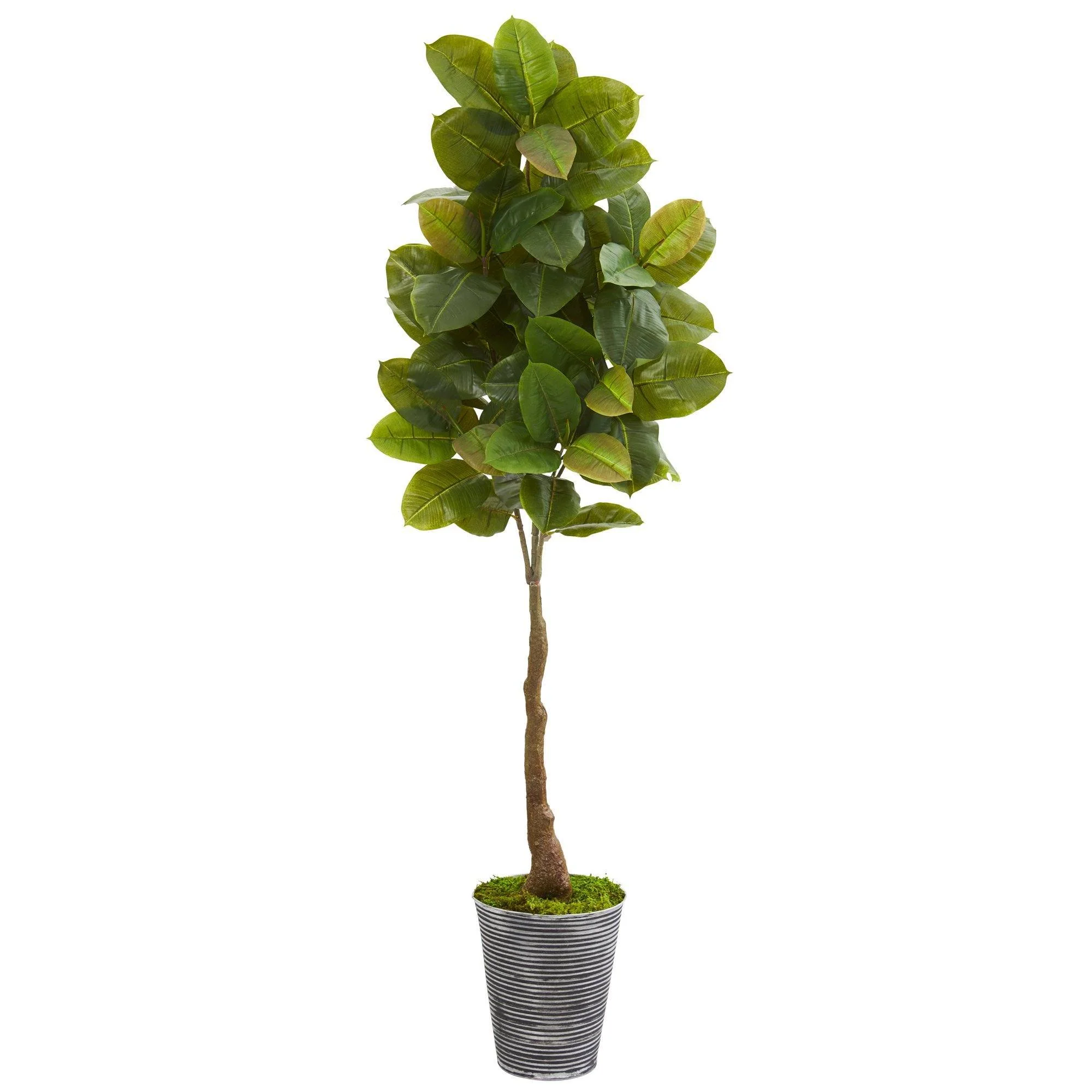 65” Rubber Leaf Artificial Tree in Decorative Tin Planter (Real Touch)