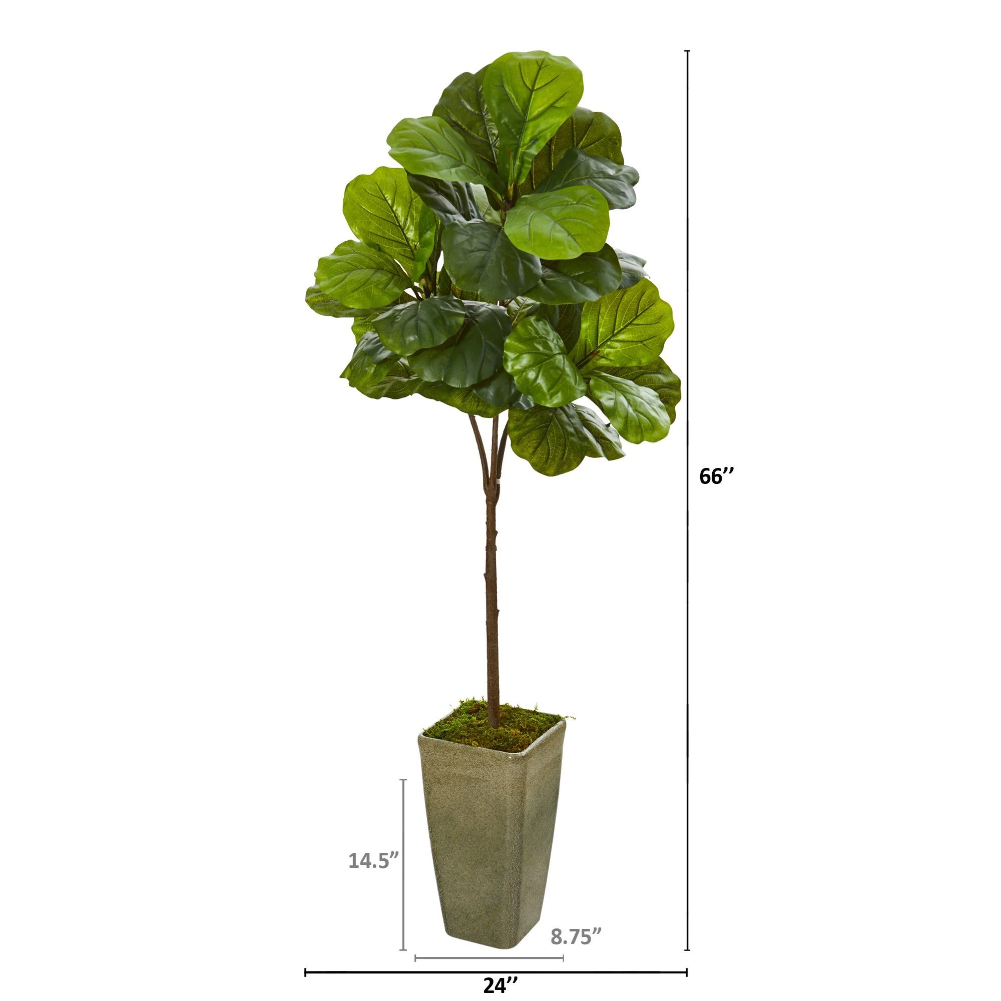 66” Fiddle Leaf Artificial Tree in Green Planter (Real Touch) - Image 2