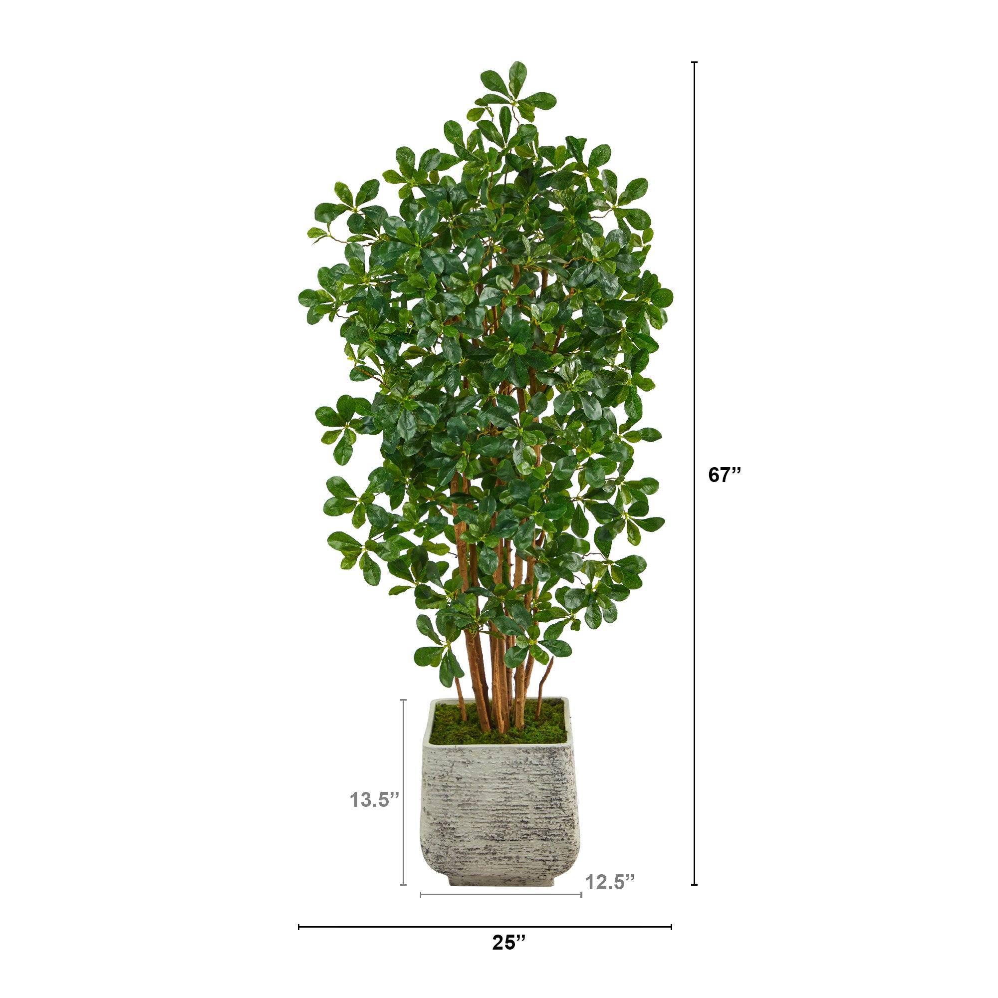 67” Black Olive Artificial Tree with 1365 Bendable Leaves in White Planter - Image 2