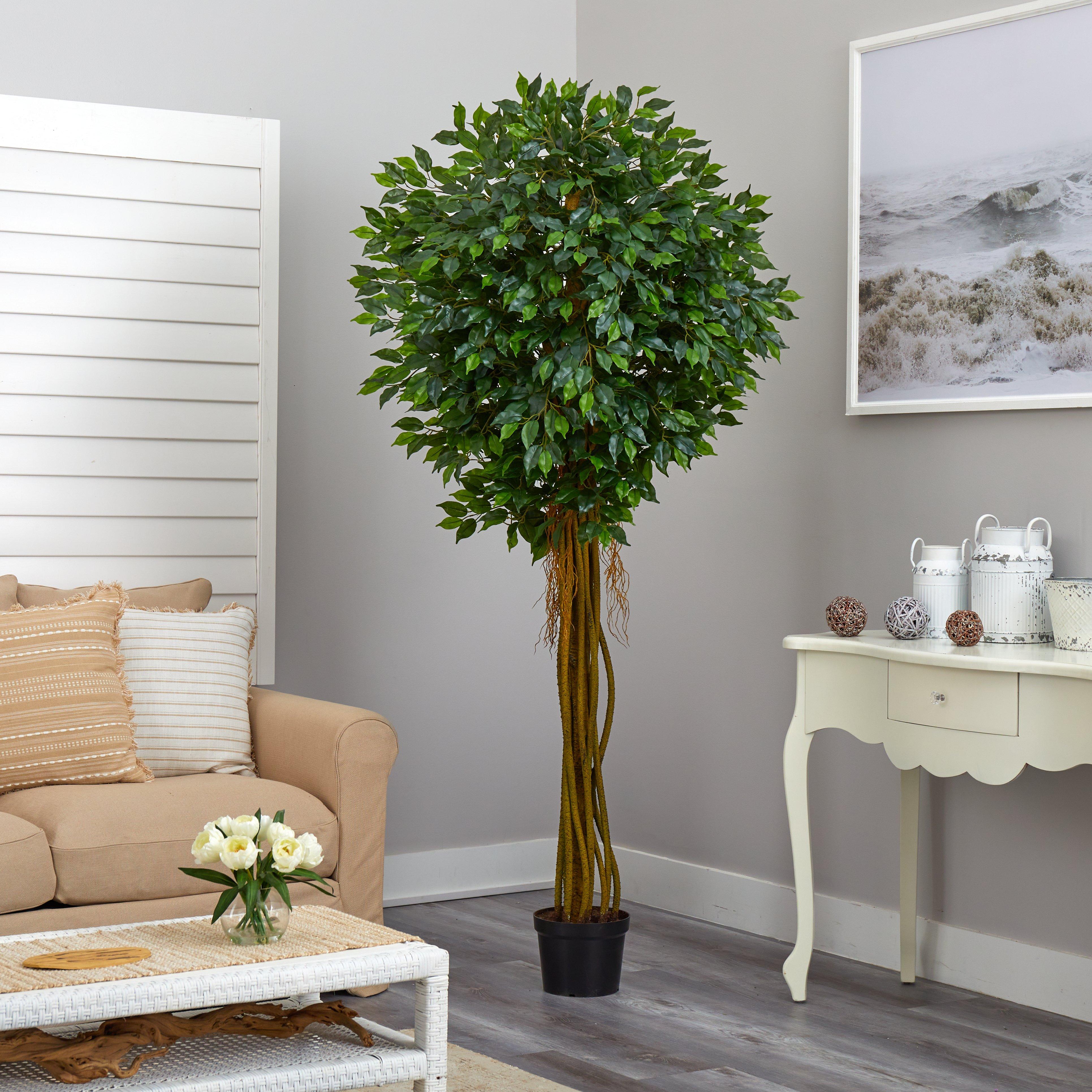 7.5' Ficus Tree UV Resistant (Indoor/Outdoor) - Image 4