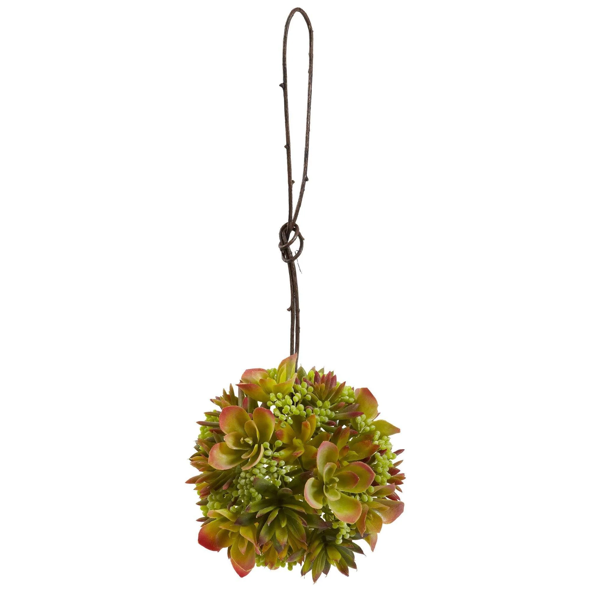 7” & 5” Mixed Succulent Spheres (Set of 2) - Image 2