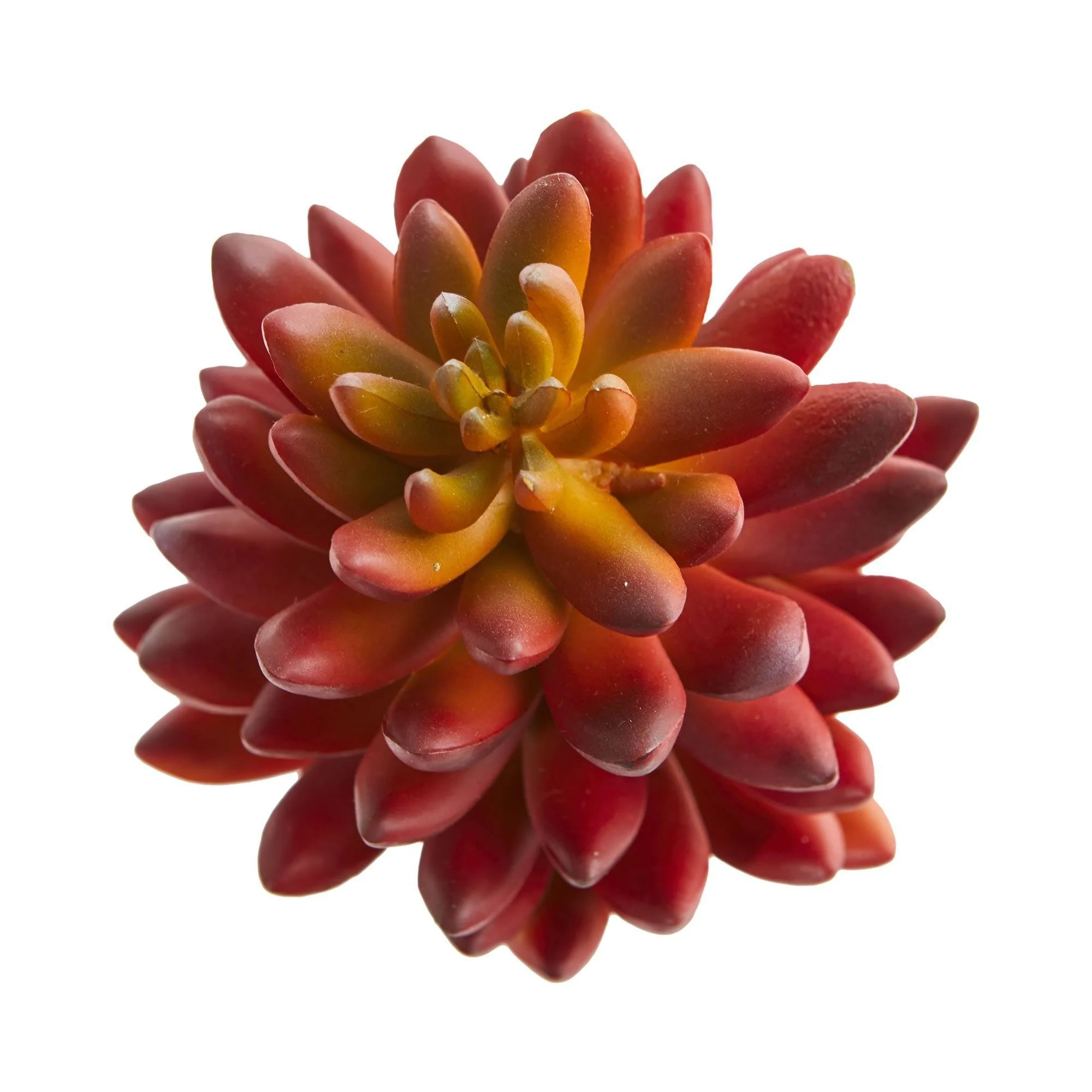 7.5” Succulent Artificial Plant (Set of 6) - Image 2